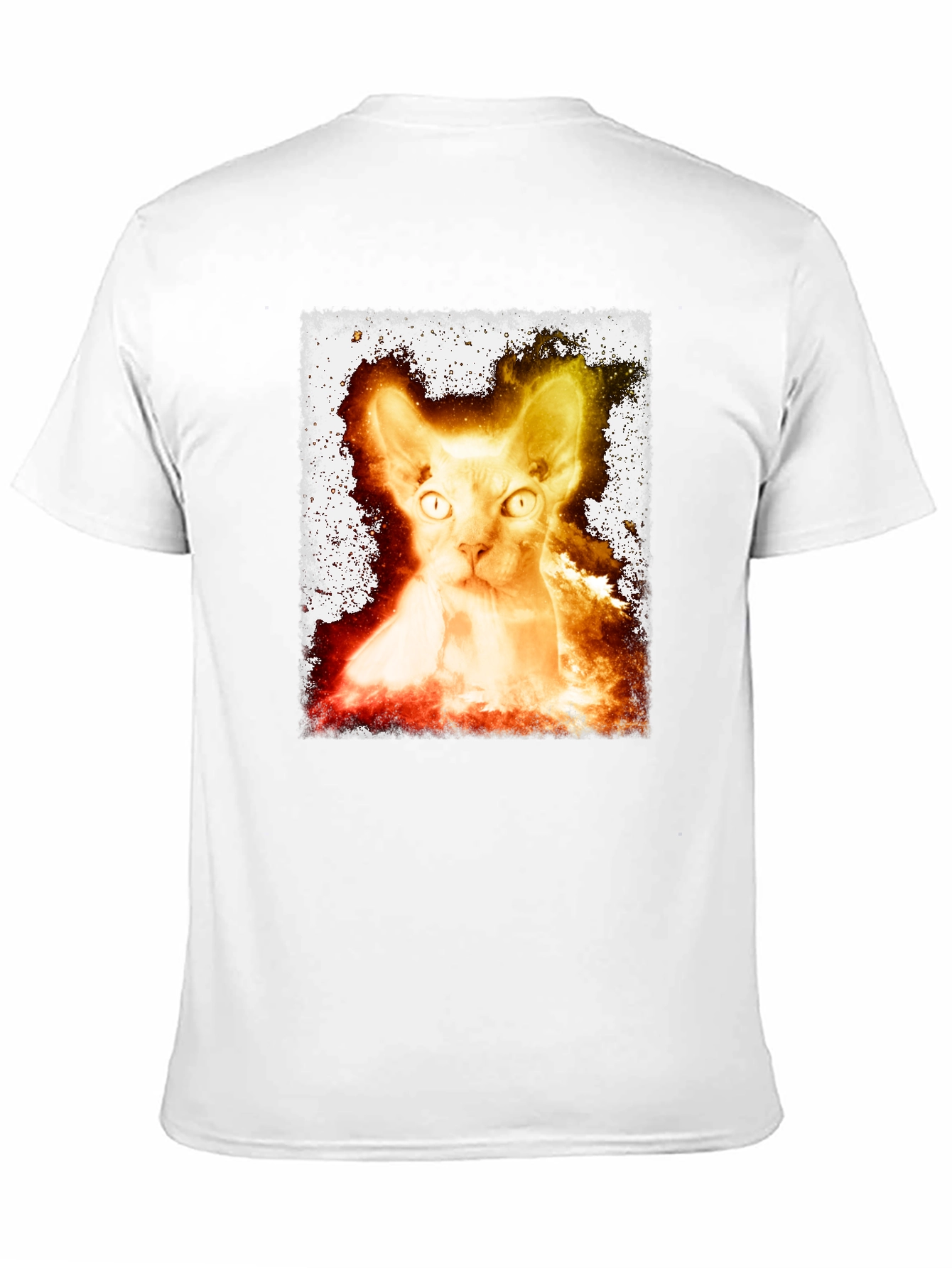 Sphynx Cat Graphic Tee - Unique Design