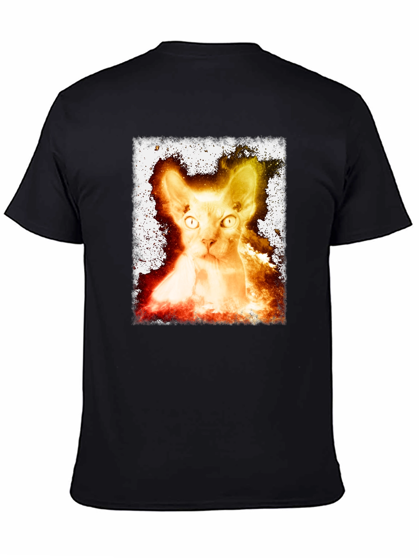 Sphynx Cat Graphic Tee - Unique Design
