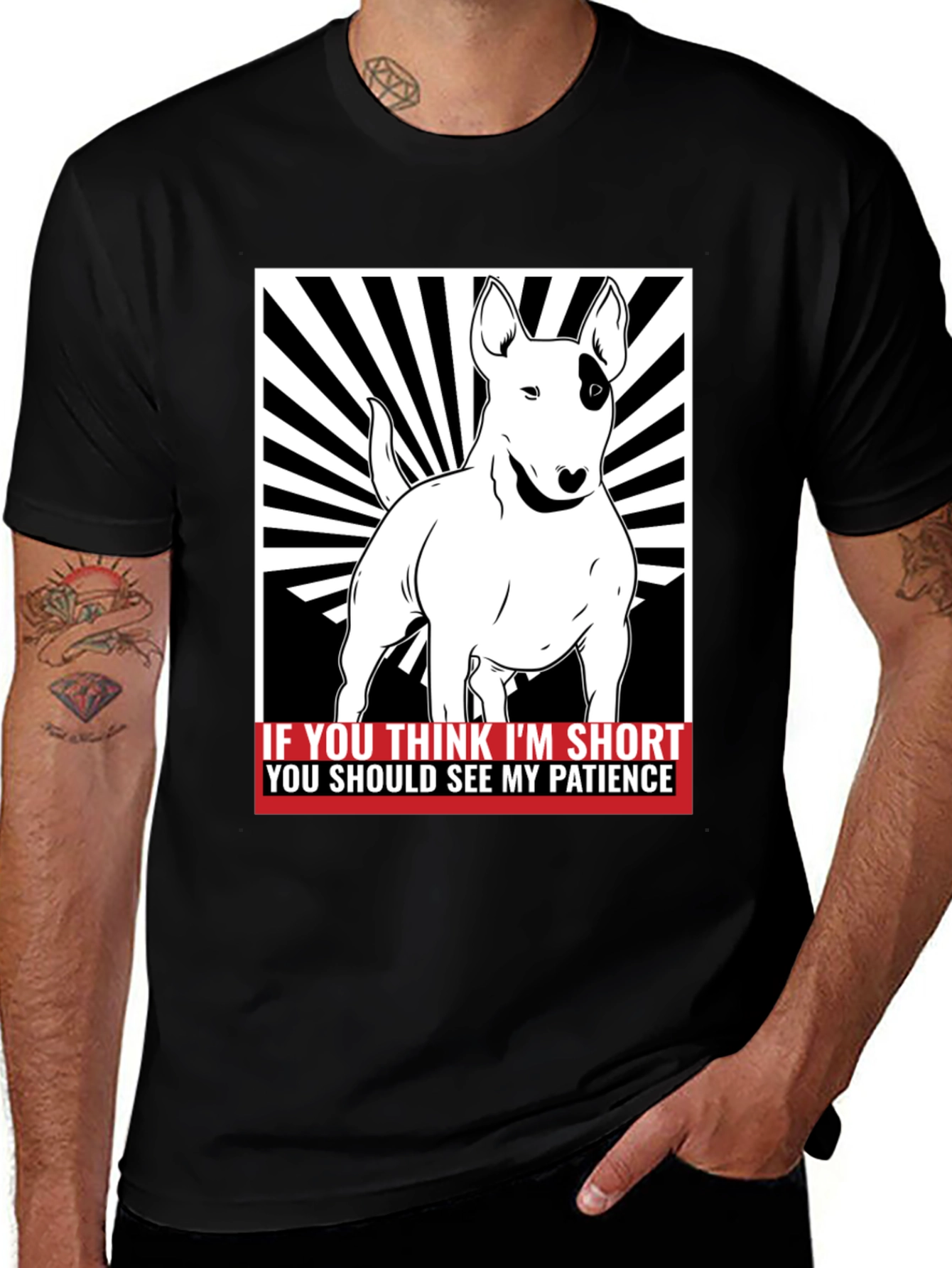 Funny Bull Terrier Short Patience Mens T-Shirt