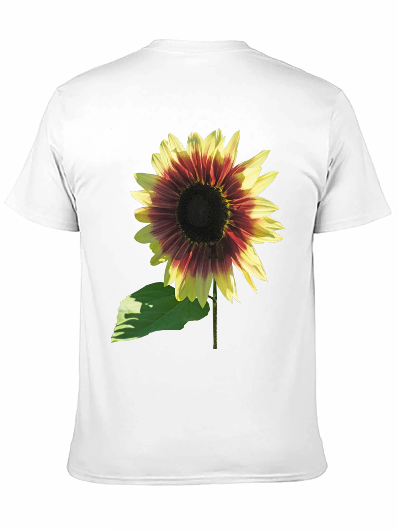 Sunflower Graphic Tee - Black Cotton Blend