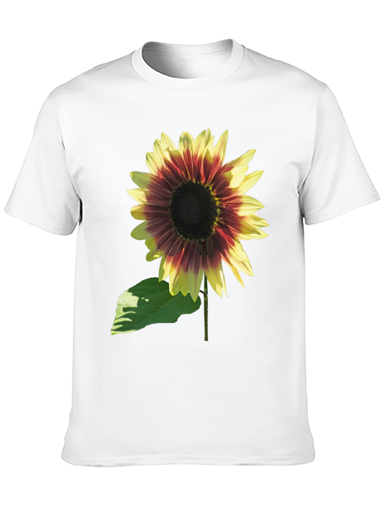 Sunflower Graphic Tee - Black Cotton Blend