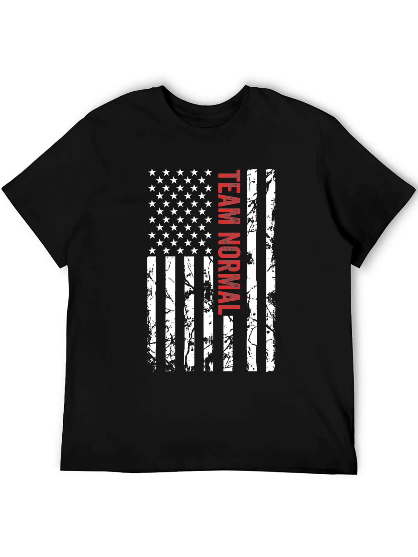 Team Normal American Flag Graphic Tee