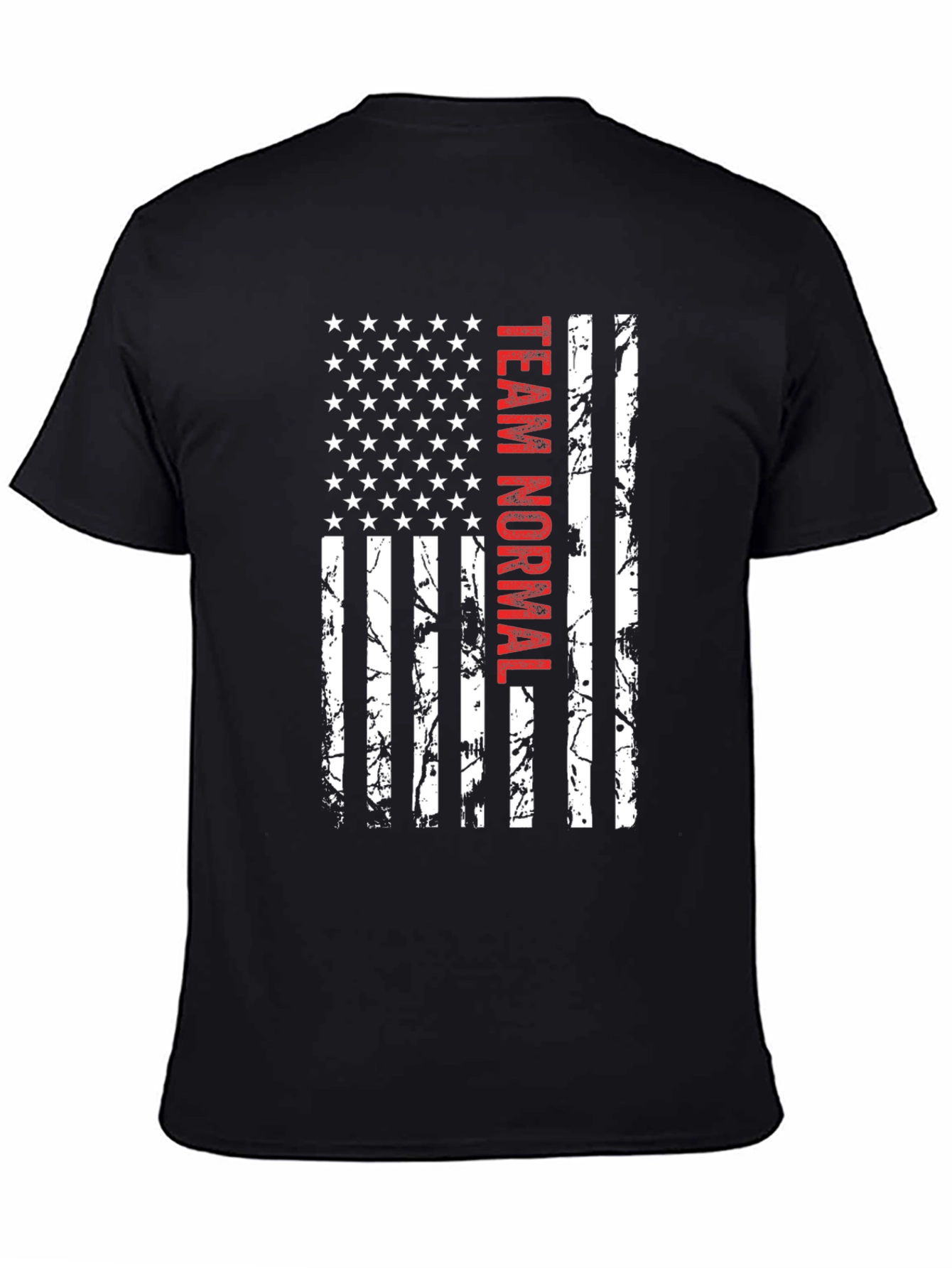 Team Normal American Flag Graphic Tee