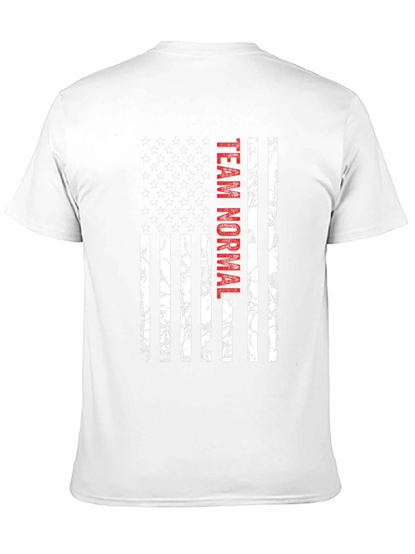 Team Normal American Flag Graphic Tee