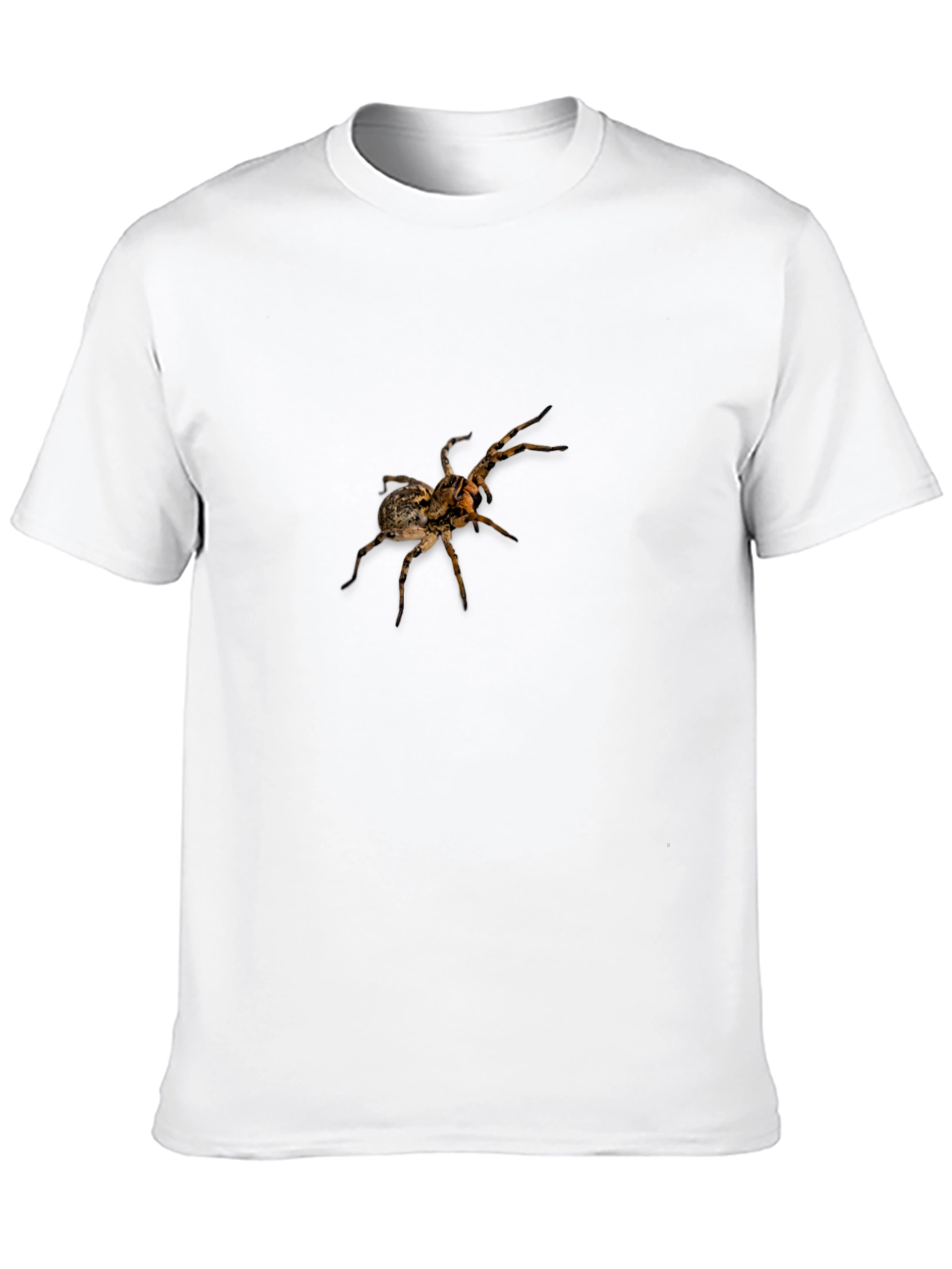 Spider Graphic Print Black T-Shirt