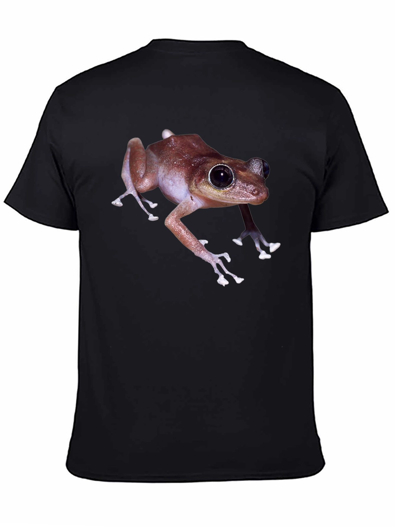 Frog T-Shirt - Black Graphic Tee