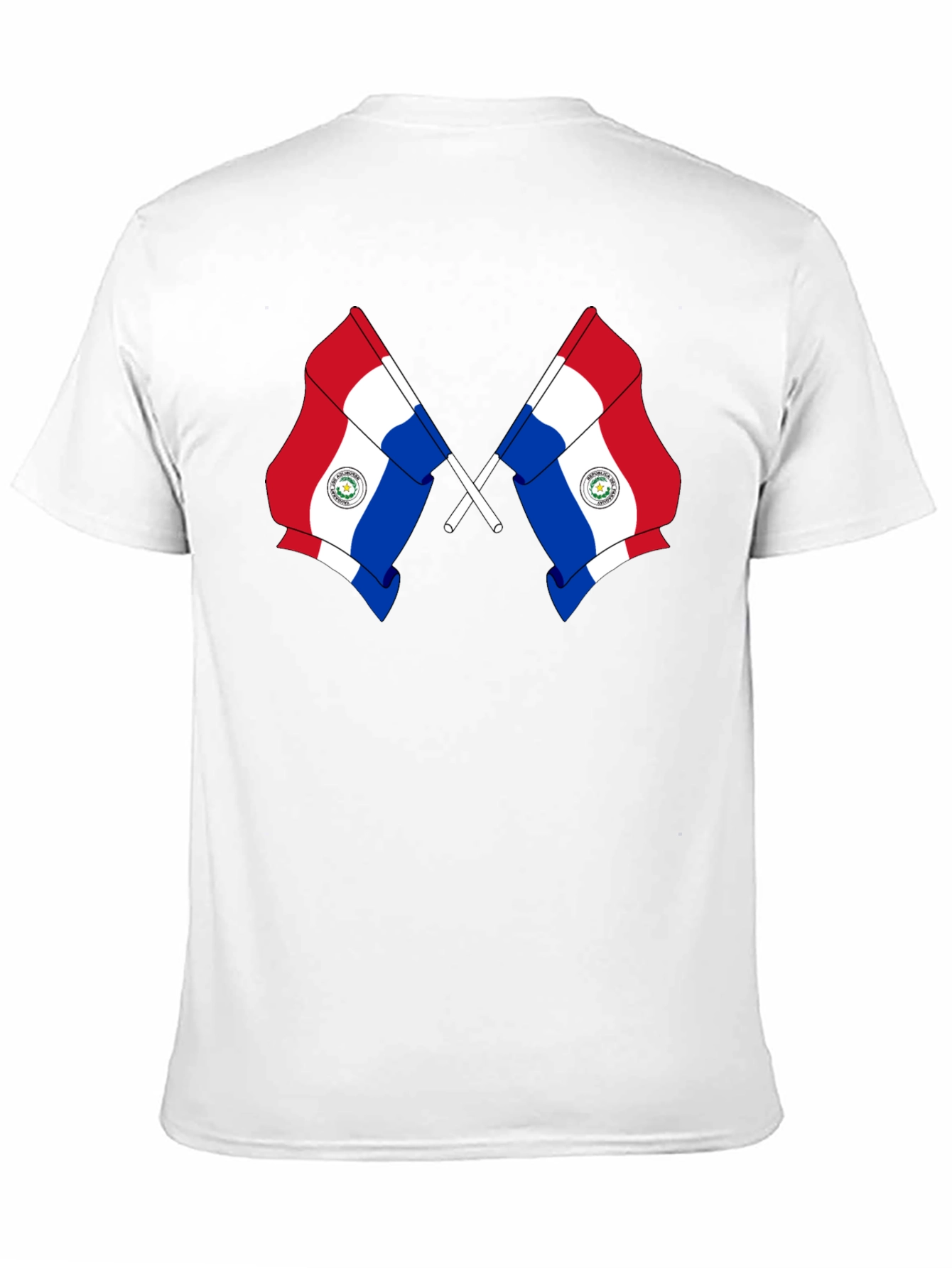 Paraguay Flag Graphic Tee - Black