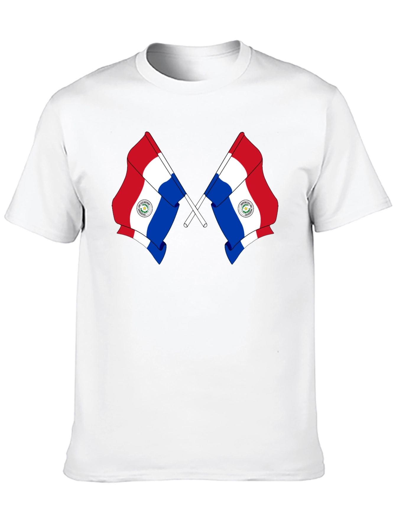 Paraguay Flag Graphic Tee - Black
