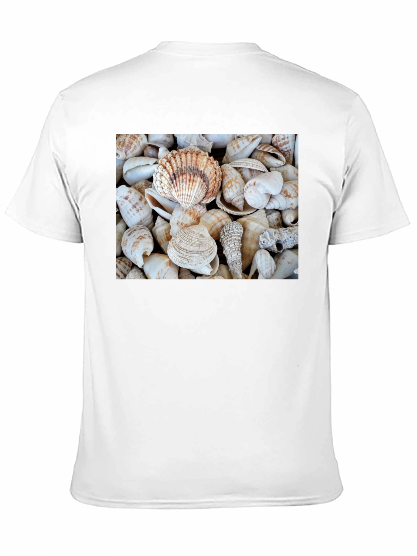 Seashell T-Shirt: Coastal Style