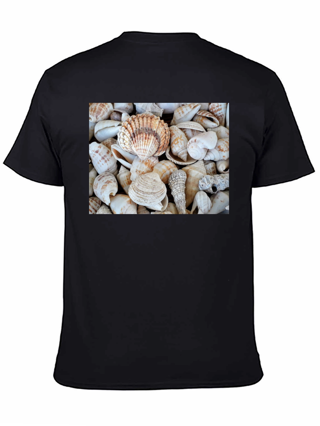 Seashell T-Shirt: Coastal Style