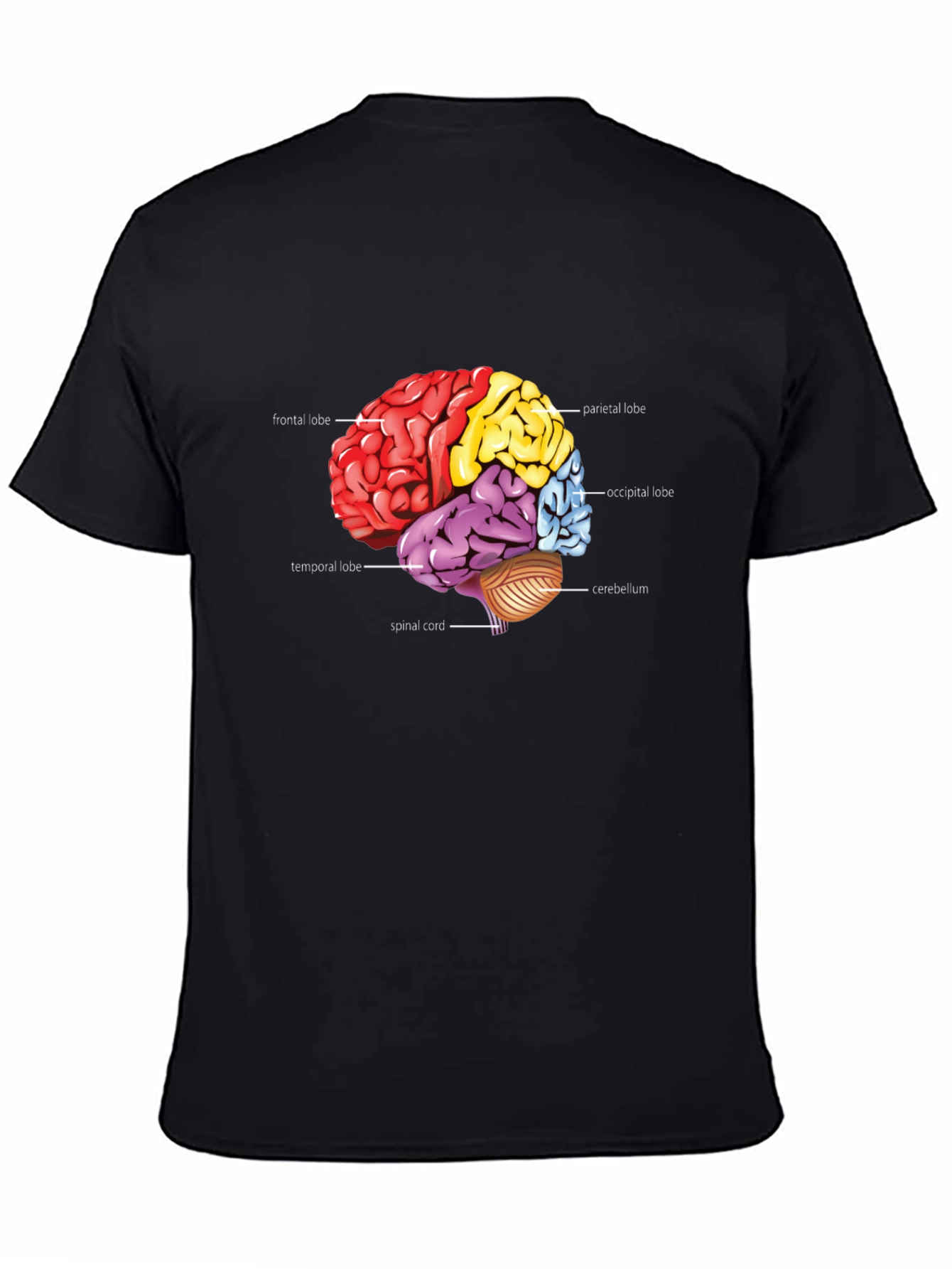 Anatomical Brain T-Shirt