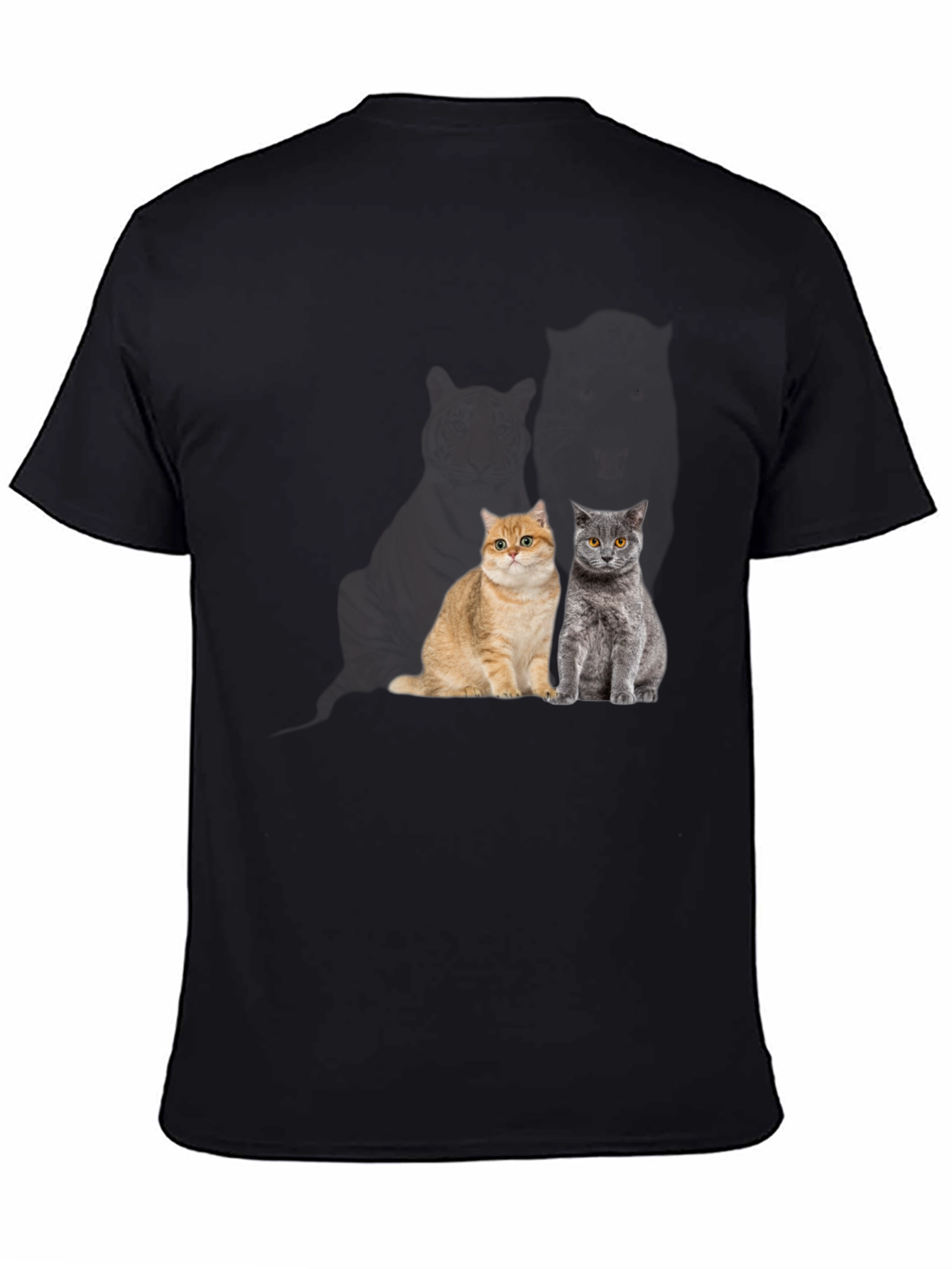 Cool Cat T-Shirt - Two Cats