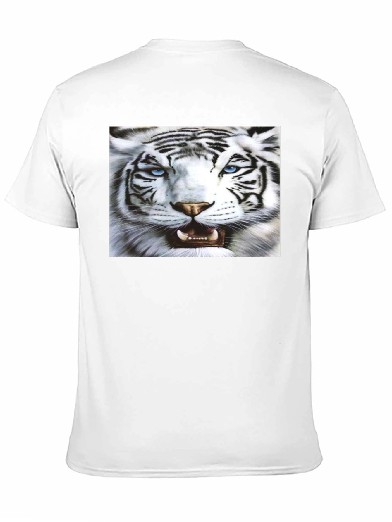 Bold Tiger Graphic Black T-Shirt