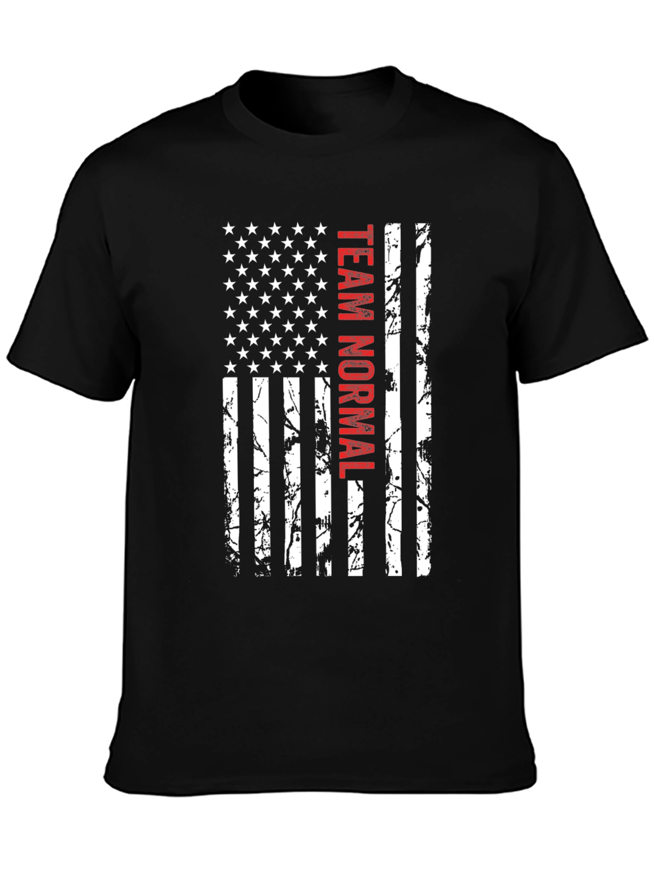 Team Normal American Flag Graphic Tee