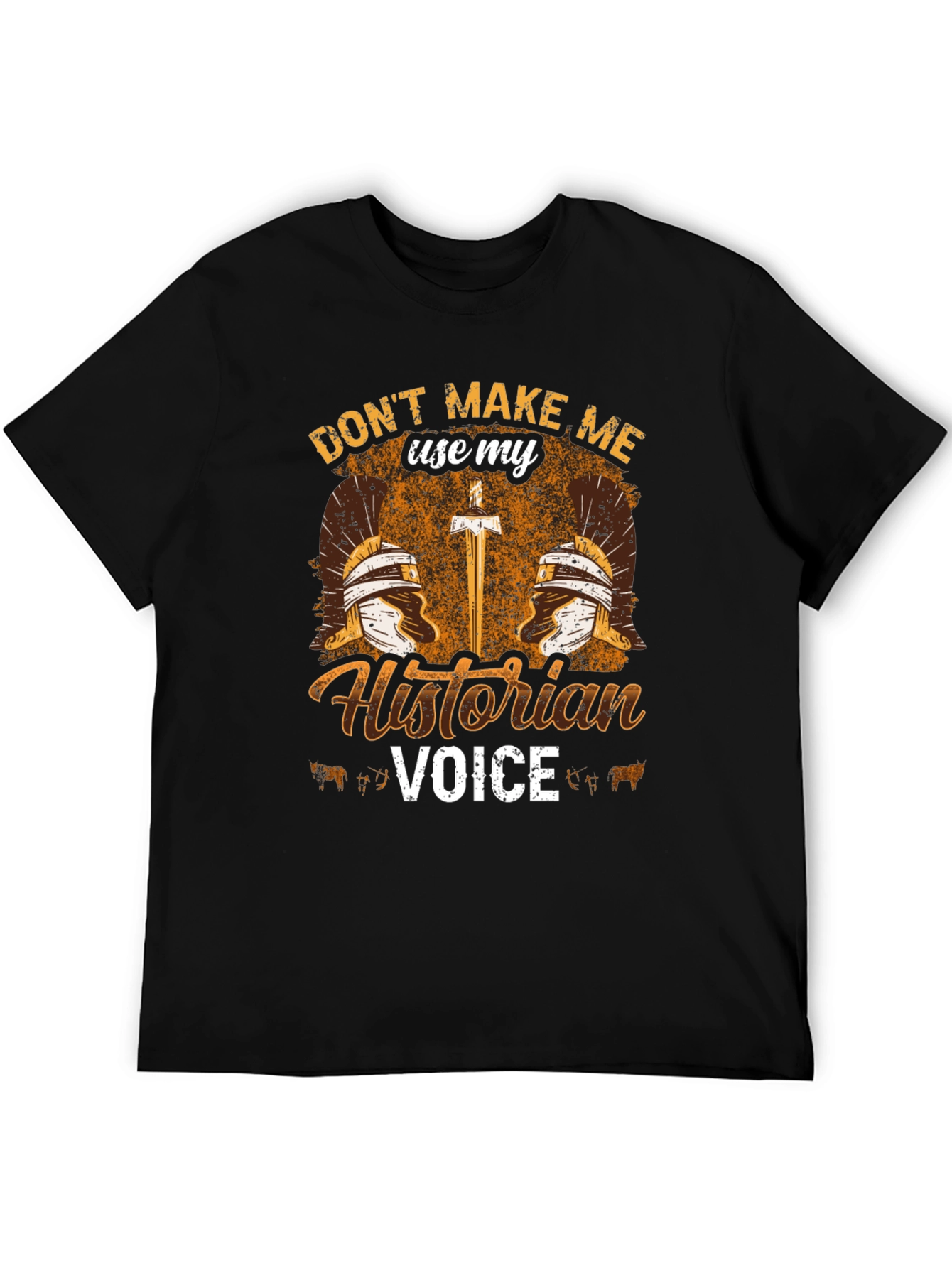 Historian Voice T-Shirt - Roman History Tee