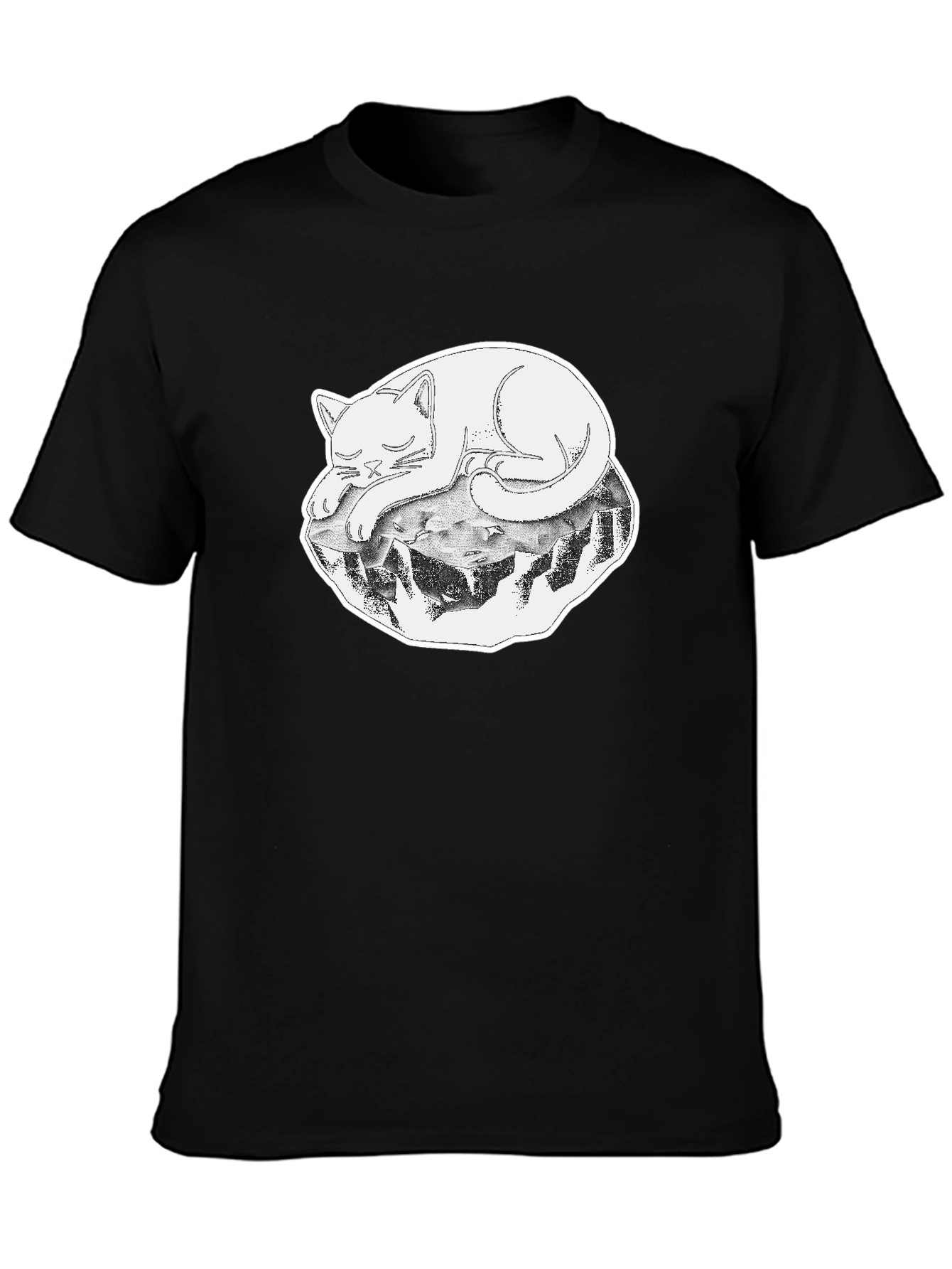 Cool Cat on a Rock Graphic Tee