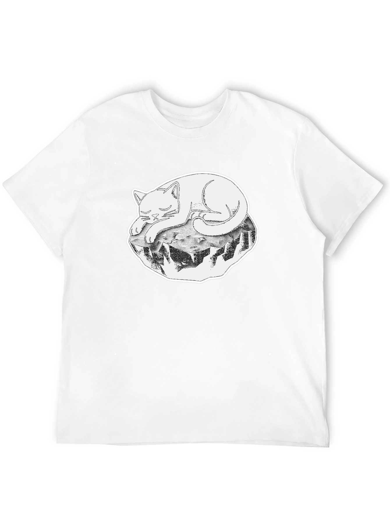 Cool Cat on a Rock Graphic Tee