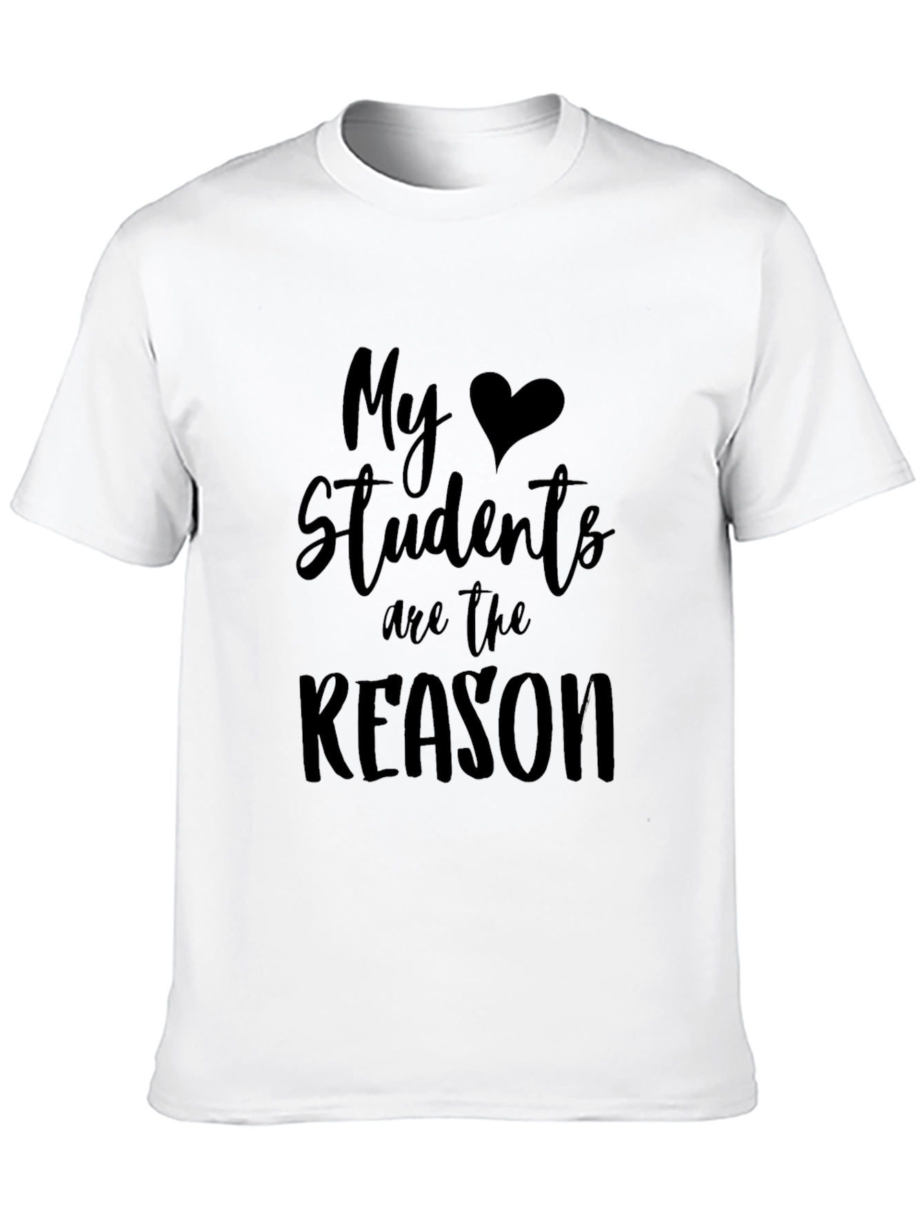 My Students Are the Reason Teacher T-Shirt