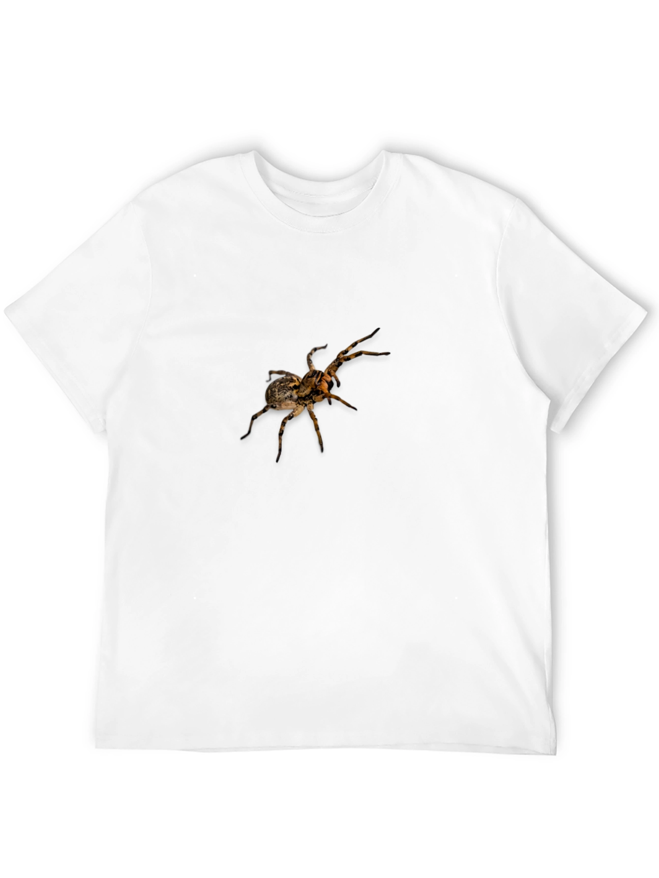 Spider Graphic Print Black T-Shirt