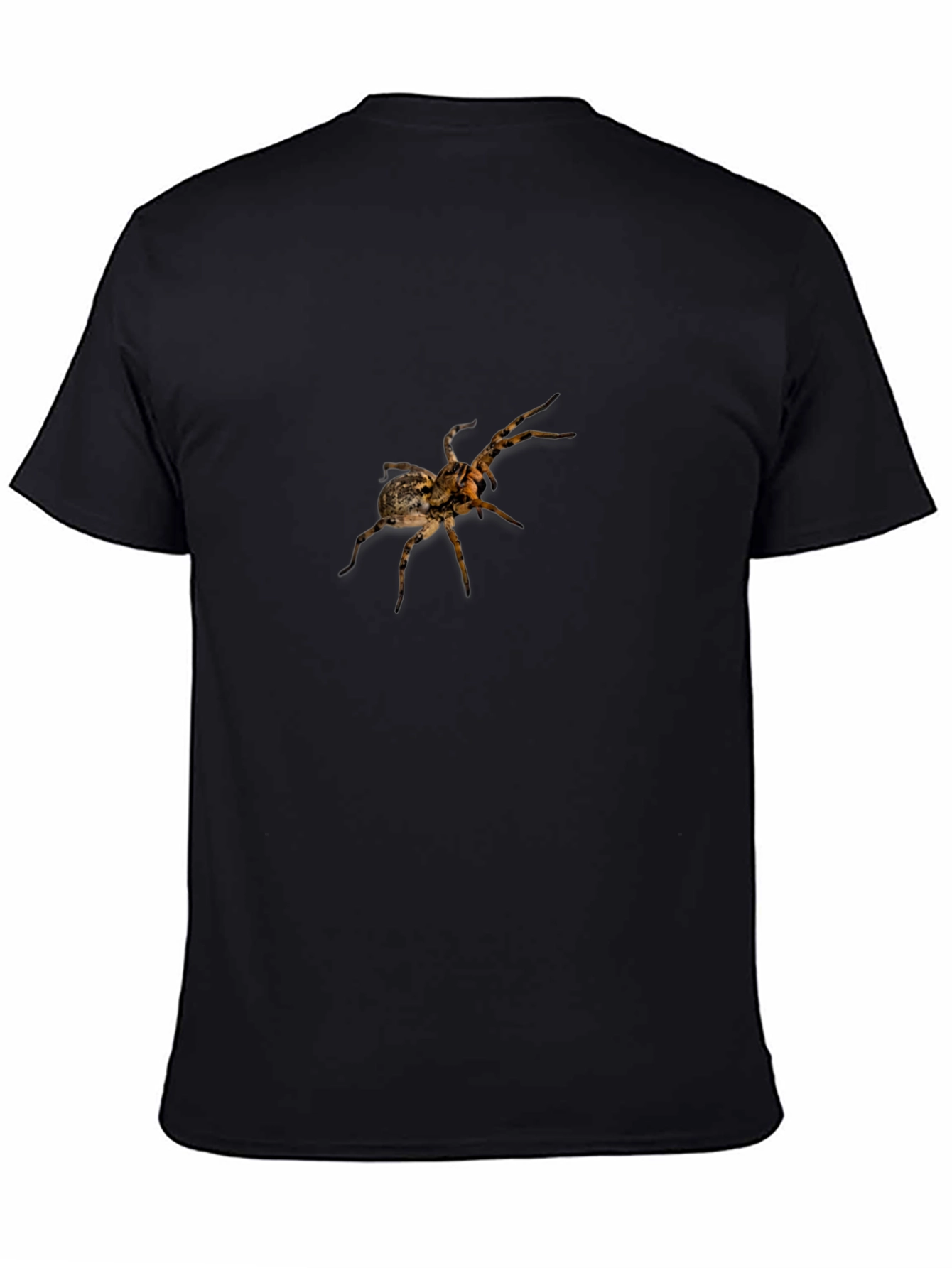 Spider Graphic Print Black T-Shirt