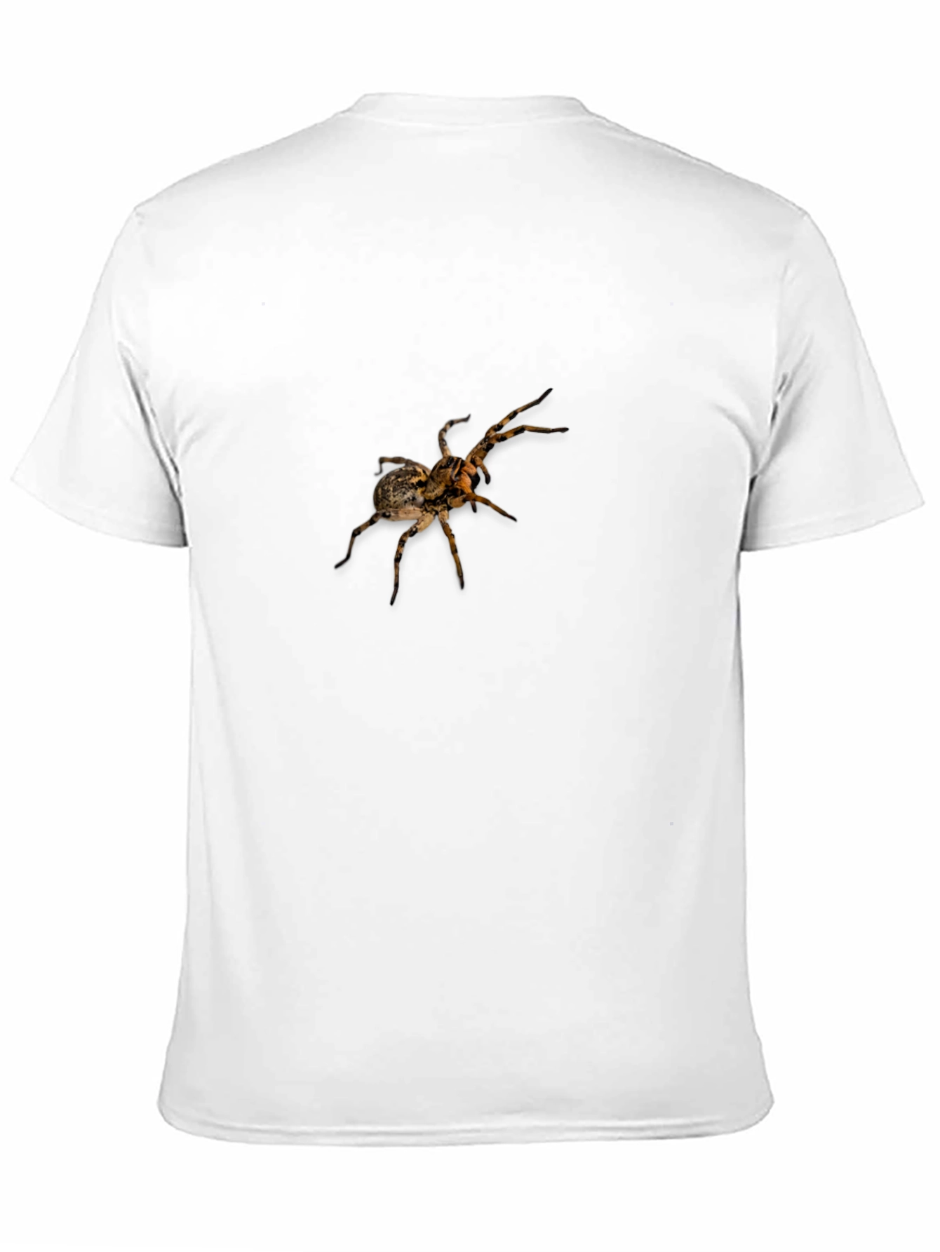 Spider Graphic Print Black T-Shirt