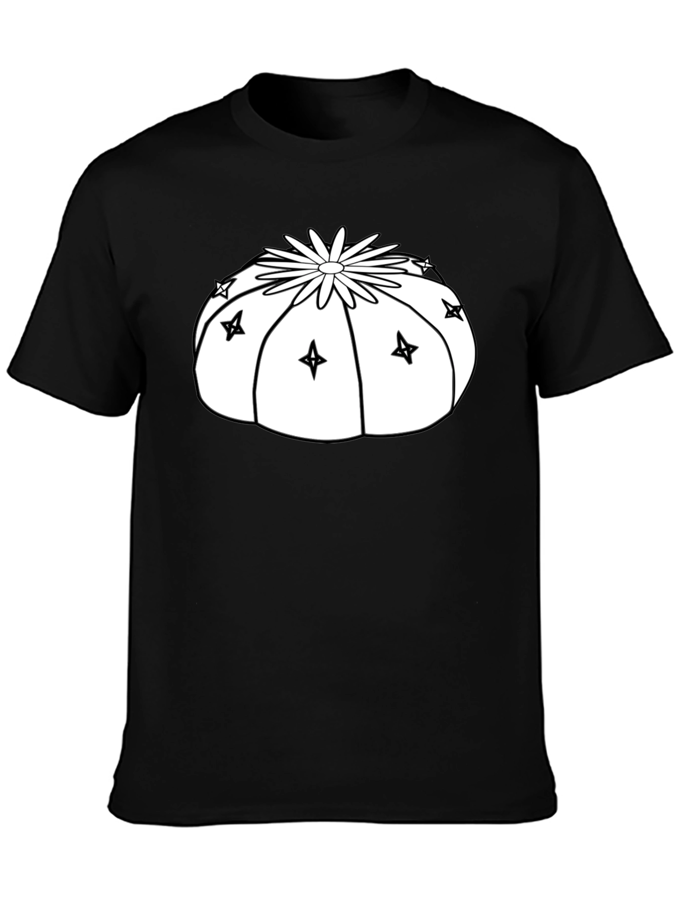 Cactus Starburst Graphic T-Shirt - Black
