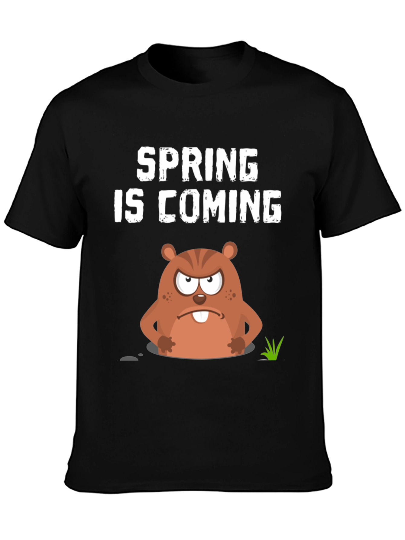 Spring is Coming Groundhog Day Graphic Tee