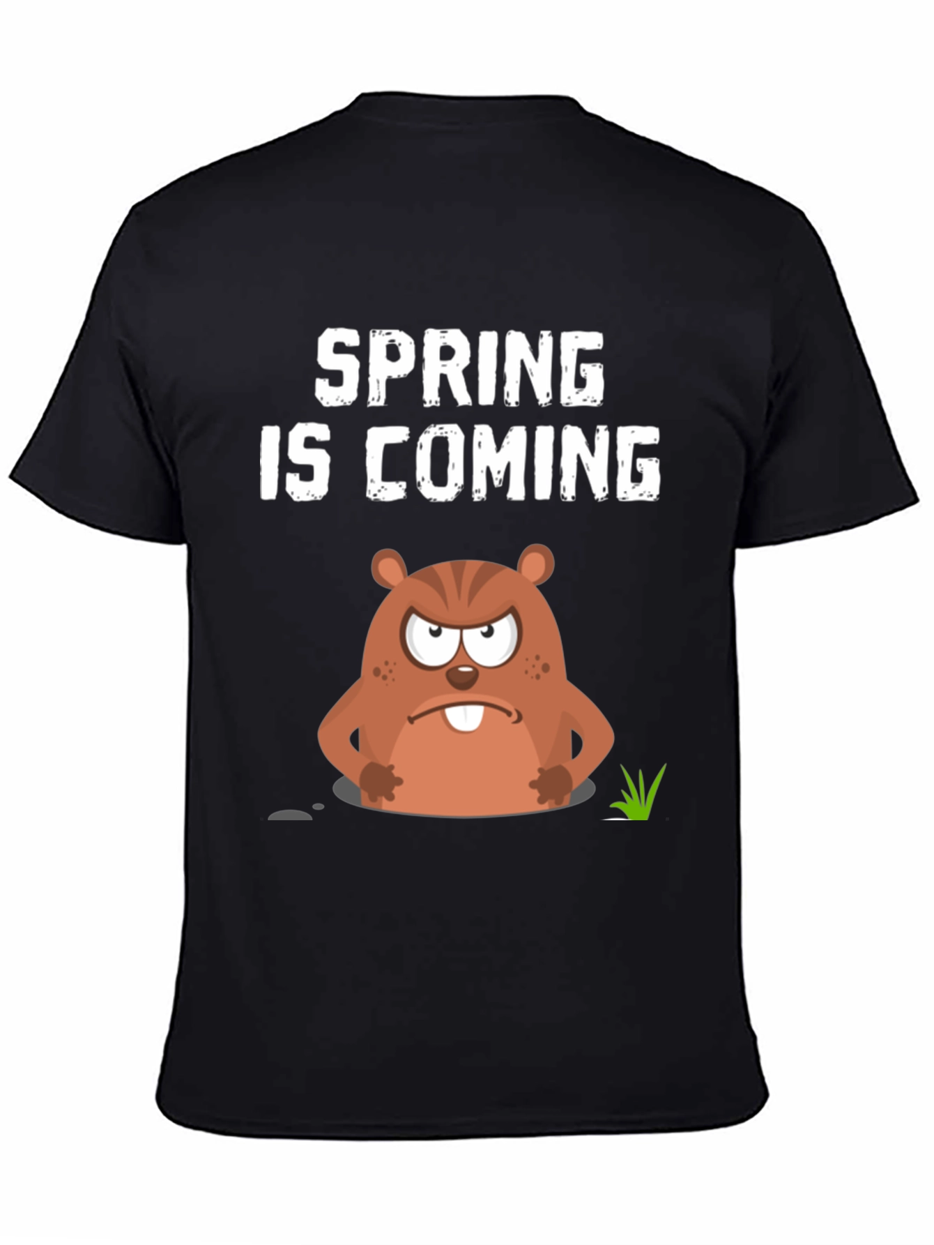 Spring is Coming Groundhog Day Graphic Tee
