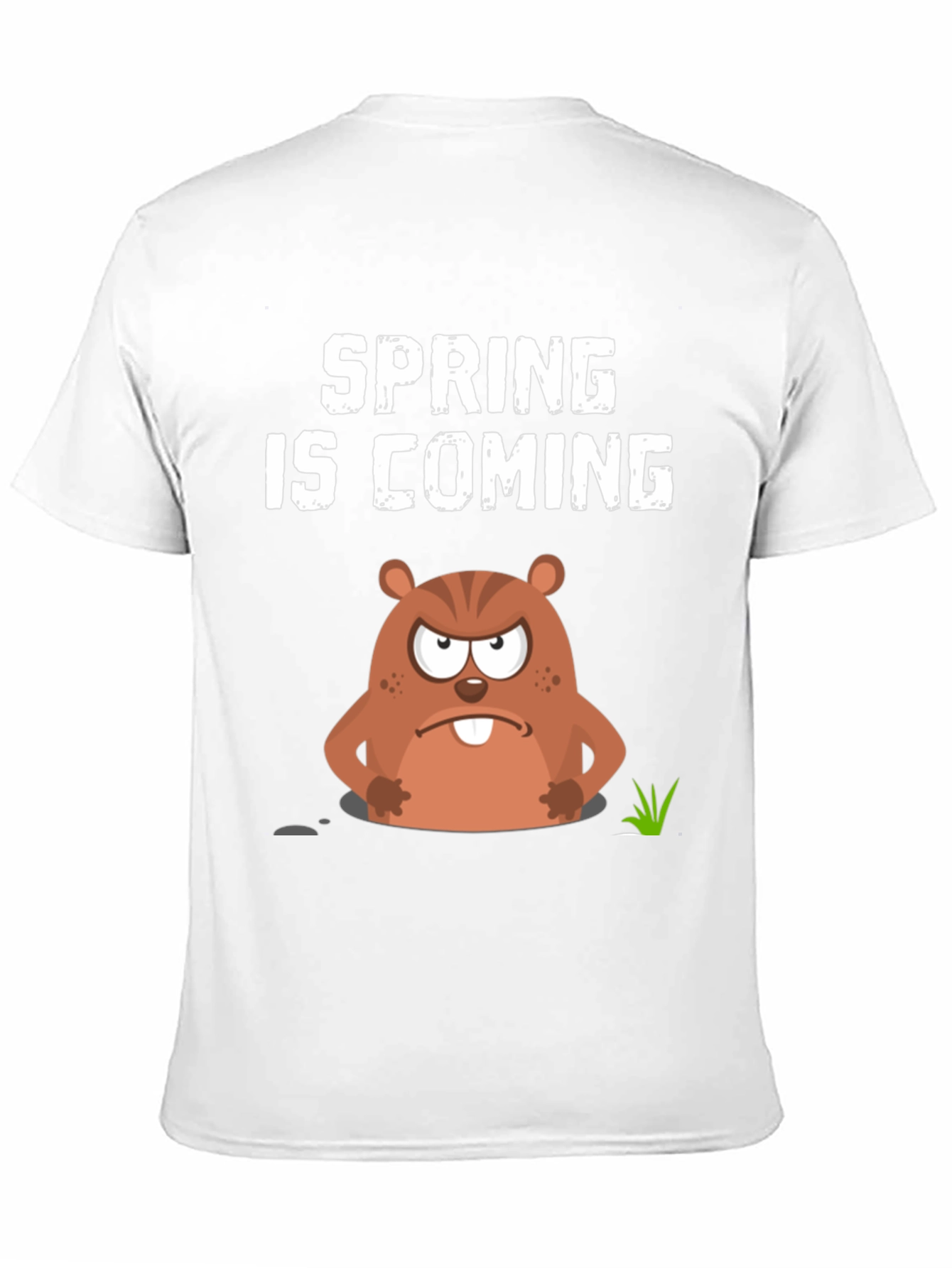 Spring is Coming Groundhog Day Graphic Tee