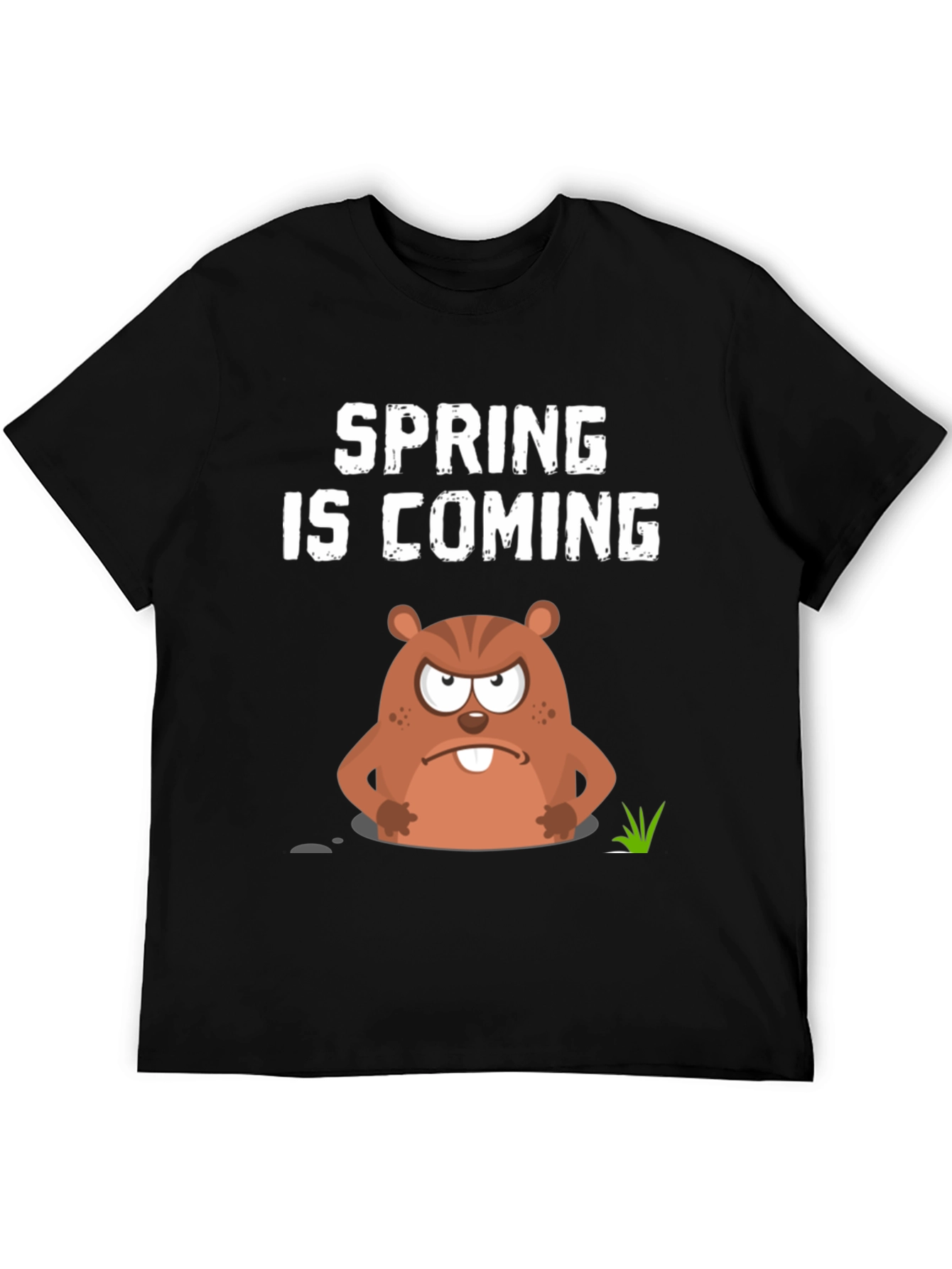 Spring is Coming Groundhog Day Graphic Tee