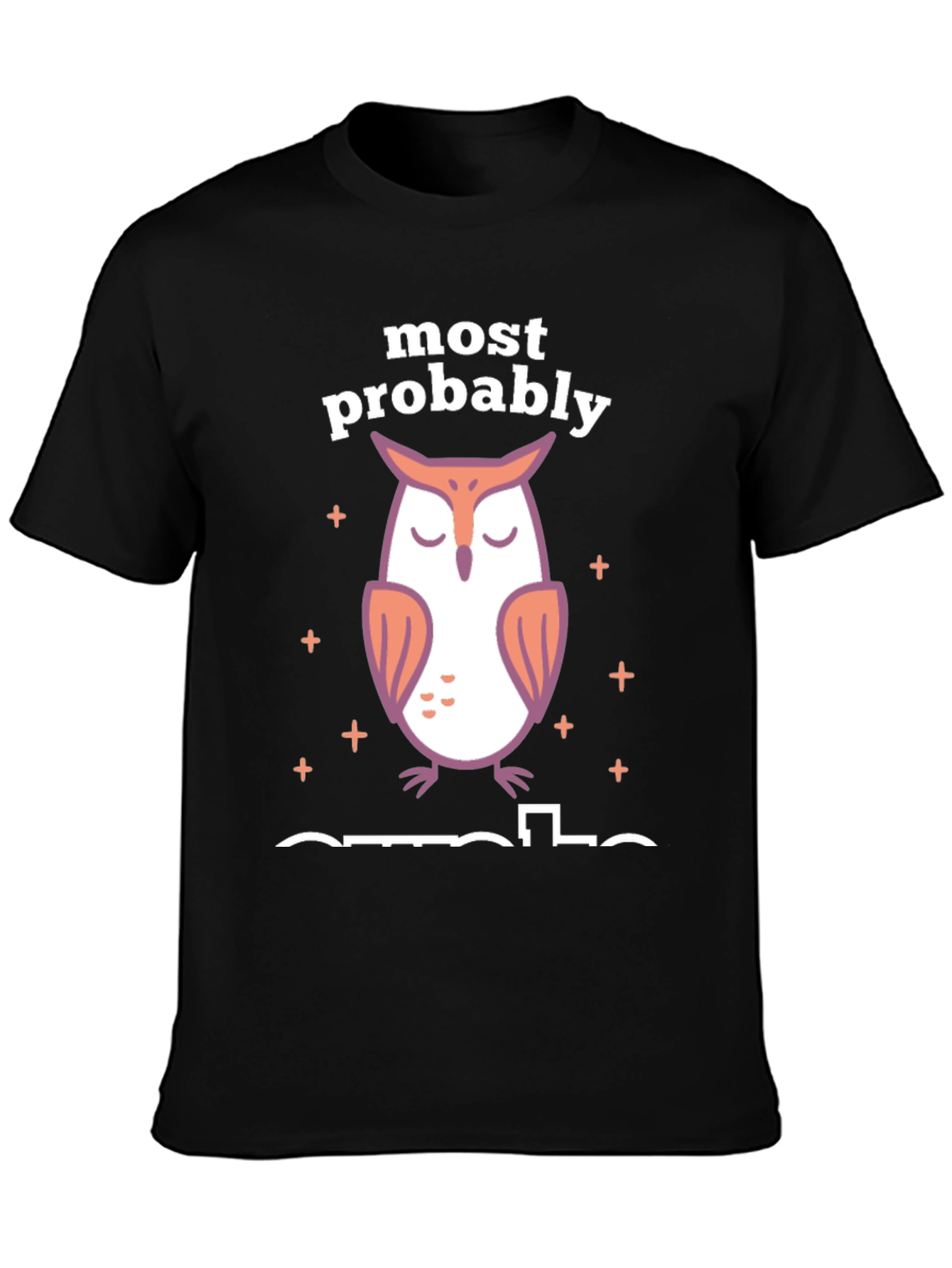 Most Probably Asleep Owl Graphic T-Shirt