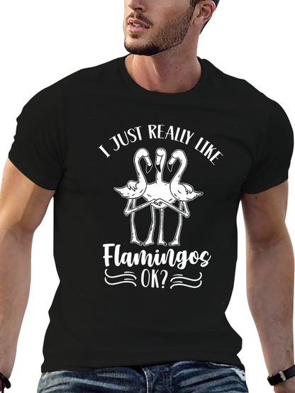 Funny Flamingo Lover T-Shirt