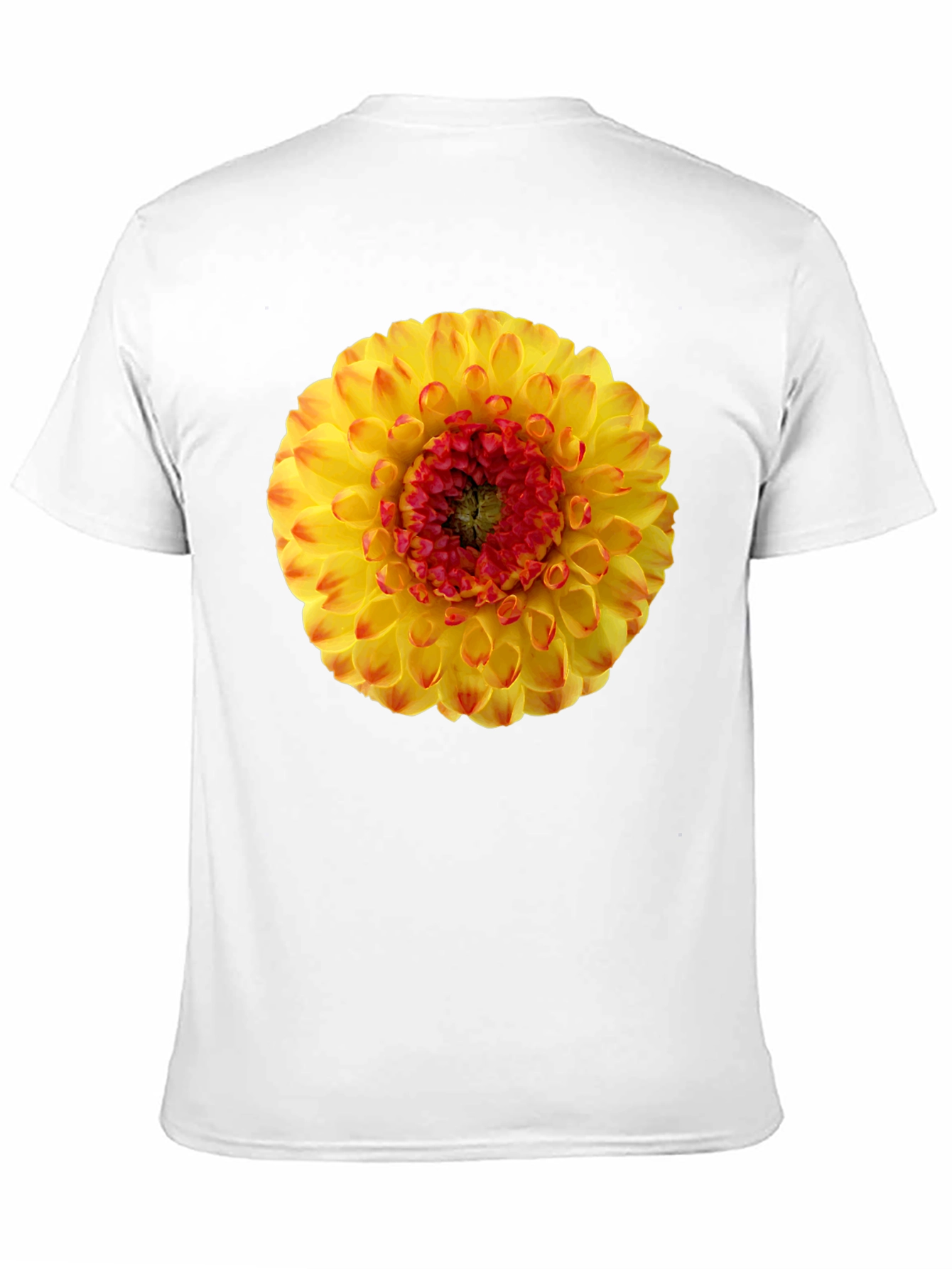 Dahlia Flower Graphic Print T-Shirt