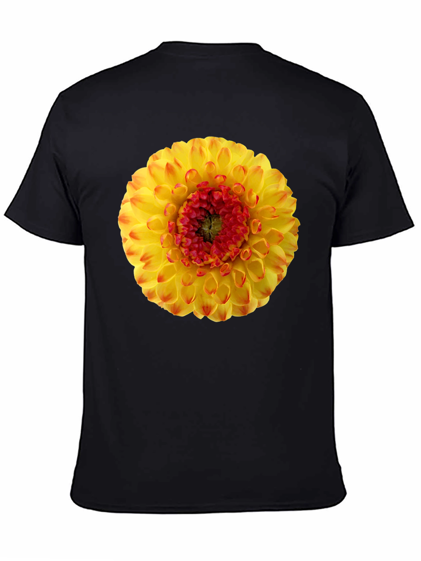 Dahlia Flower Graphic Print T-Shirt