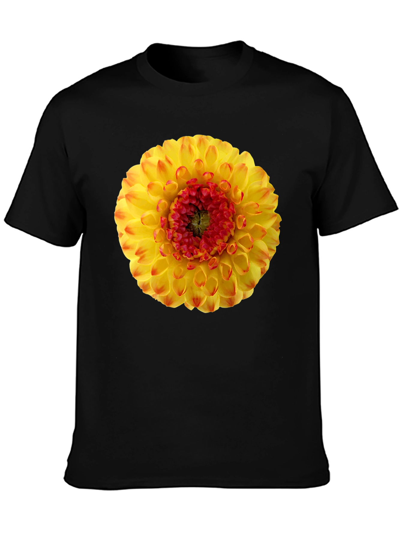 Dahlia Flower Graphic Print T-Shirt