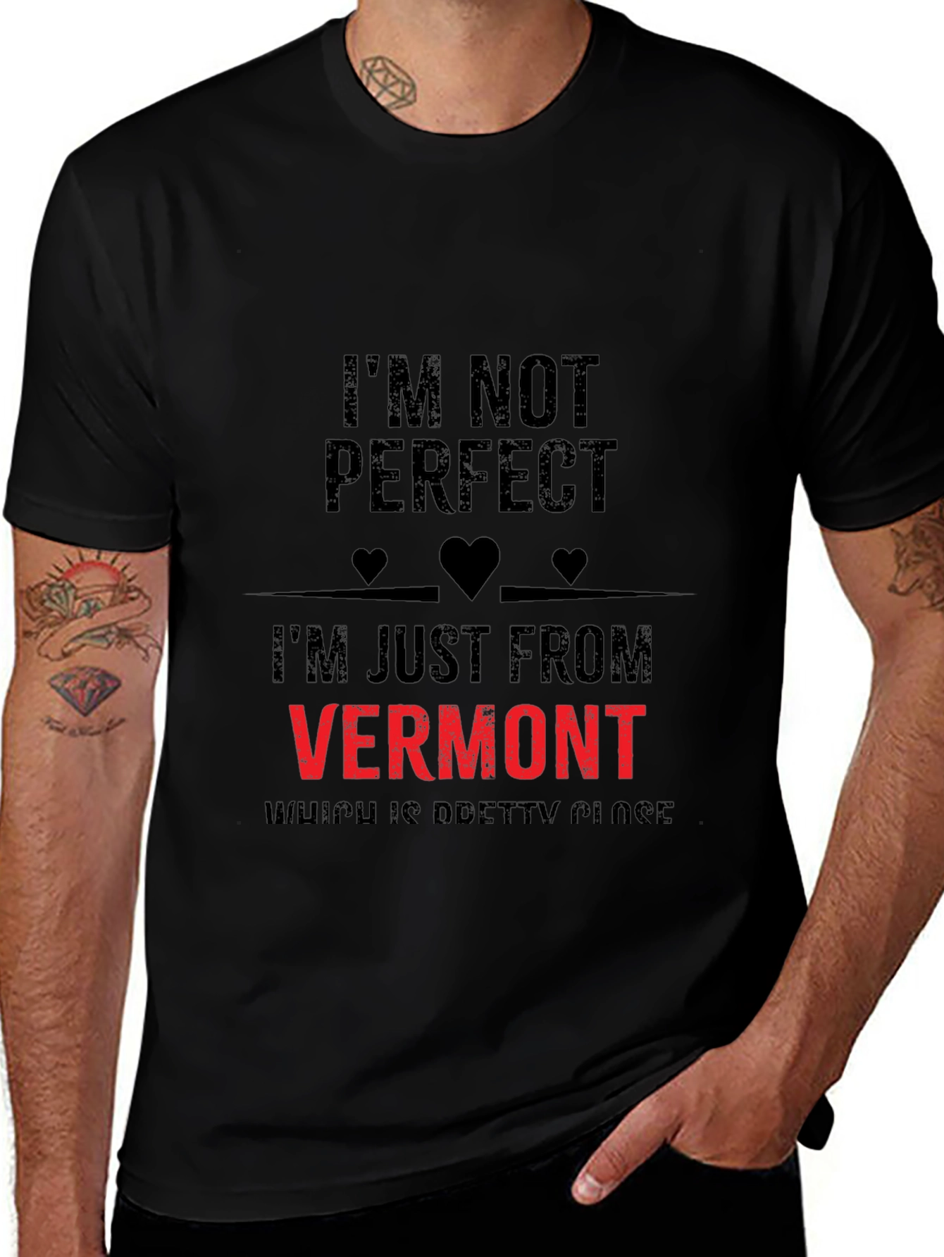 Im Not Perfect Vermont Graphic T-Shirt