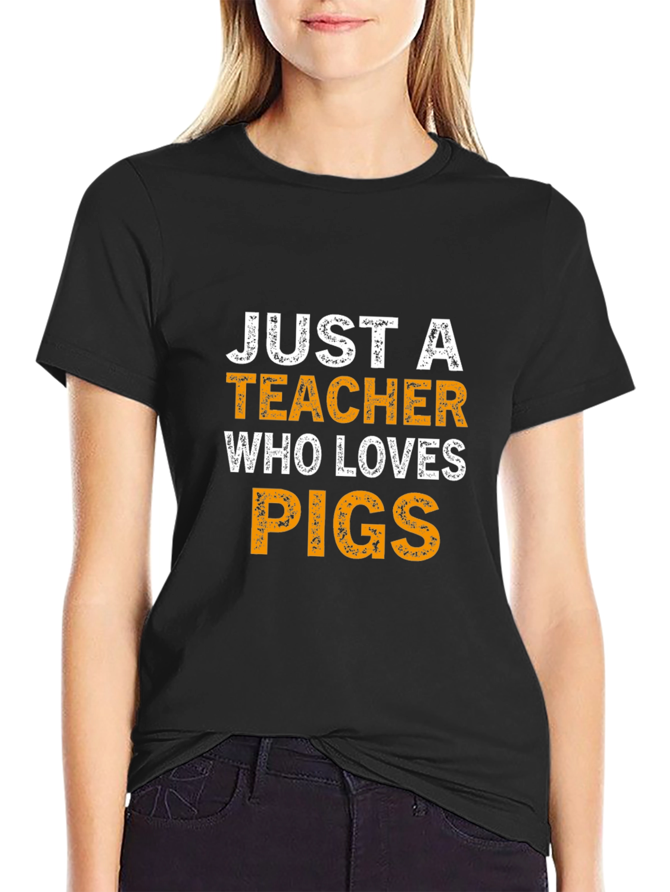 Just a Teacher Who Loves Pigs T-Shirt