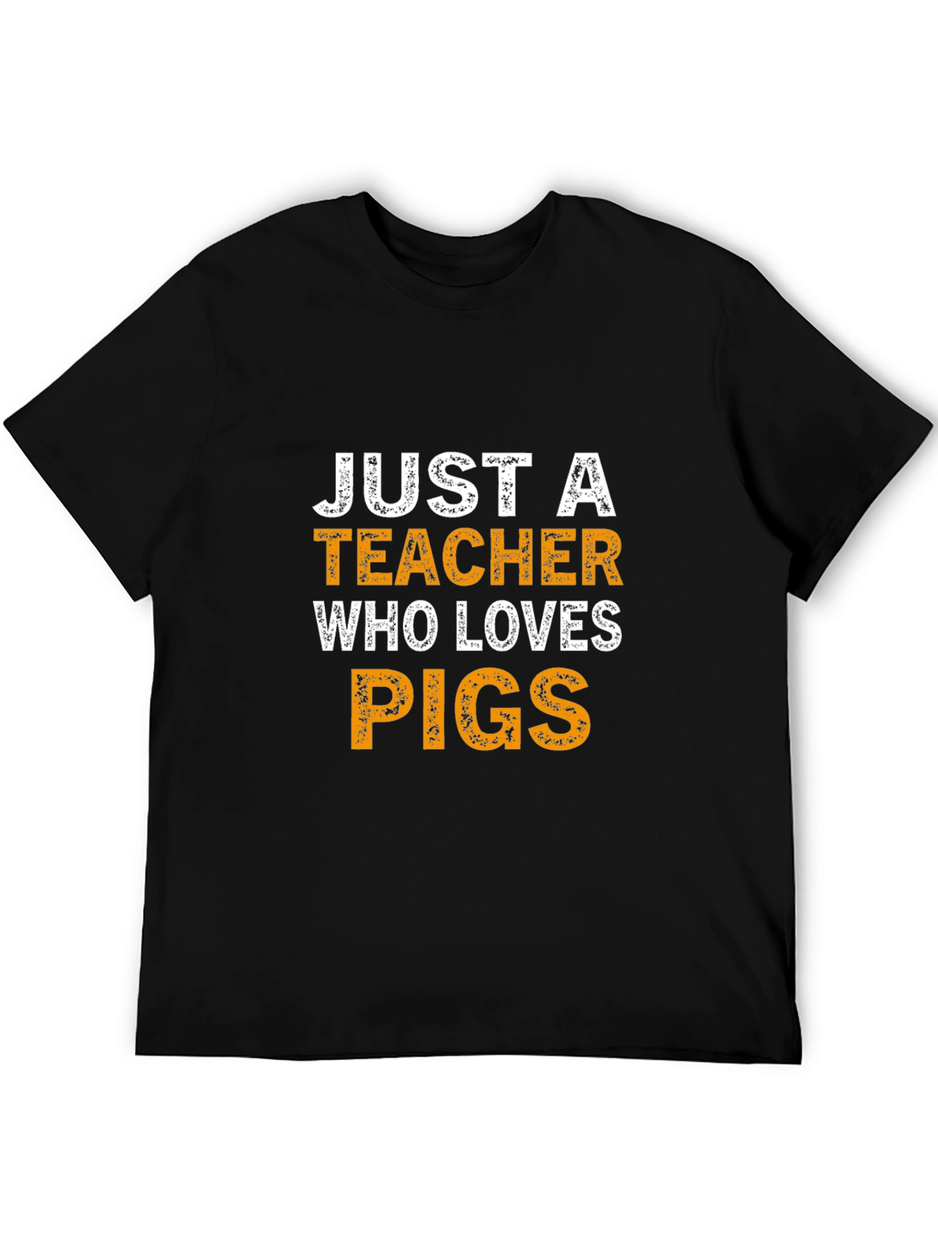 Just a Teacher Who Loves Pigs T-Shirt
