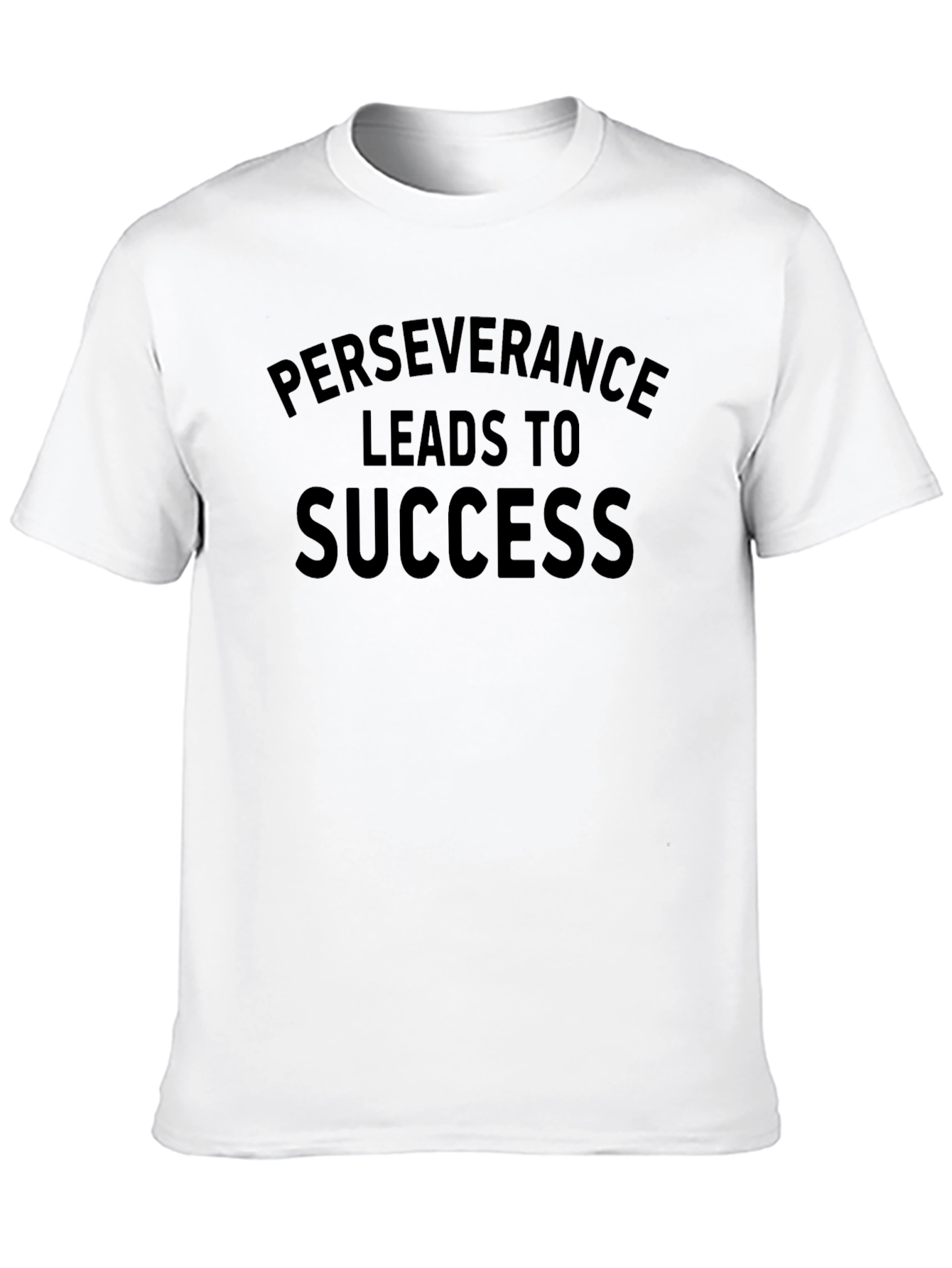 Perseverance Leads to Success T-Shirt