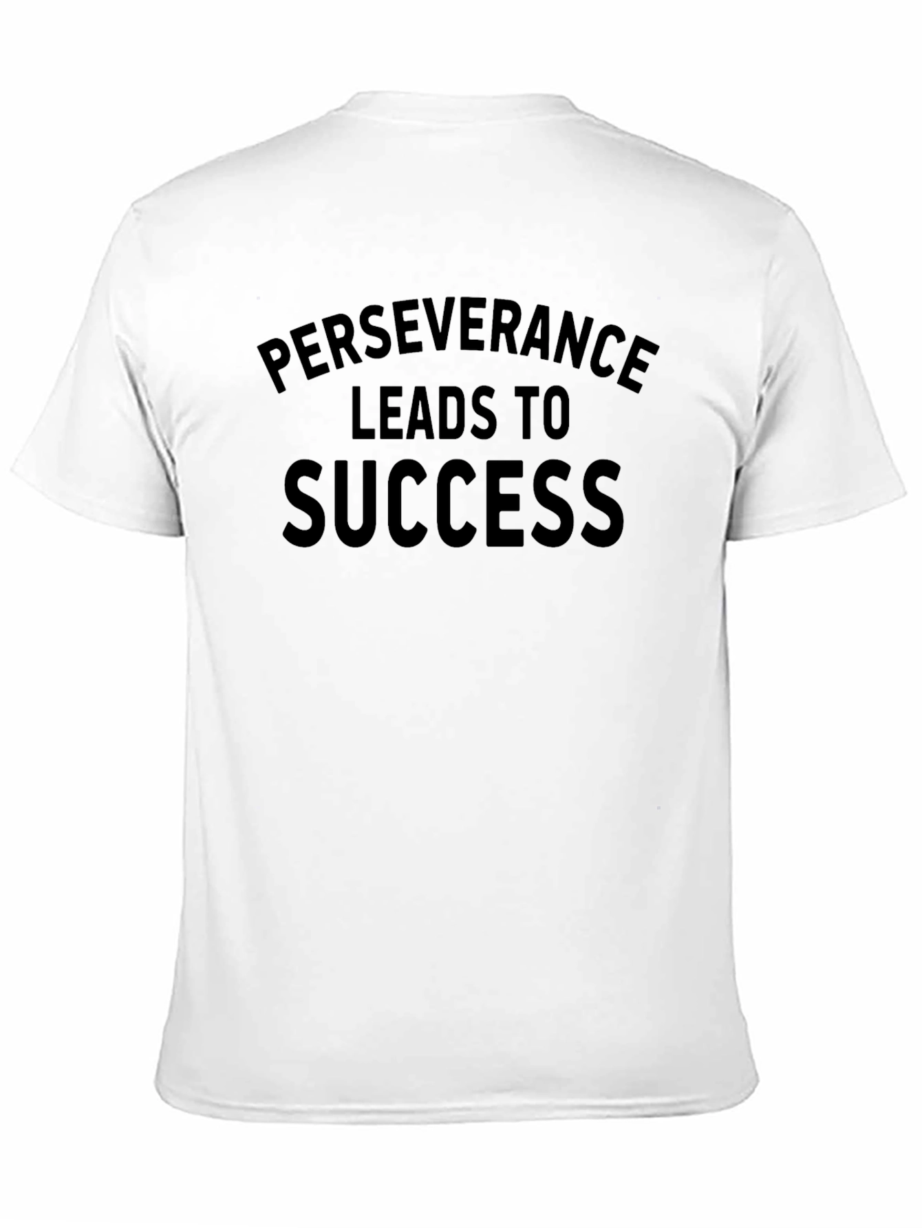 Perseverance Leads to Success T-Shirt