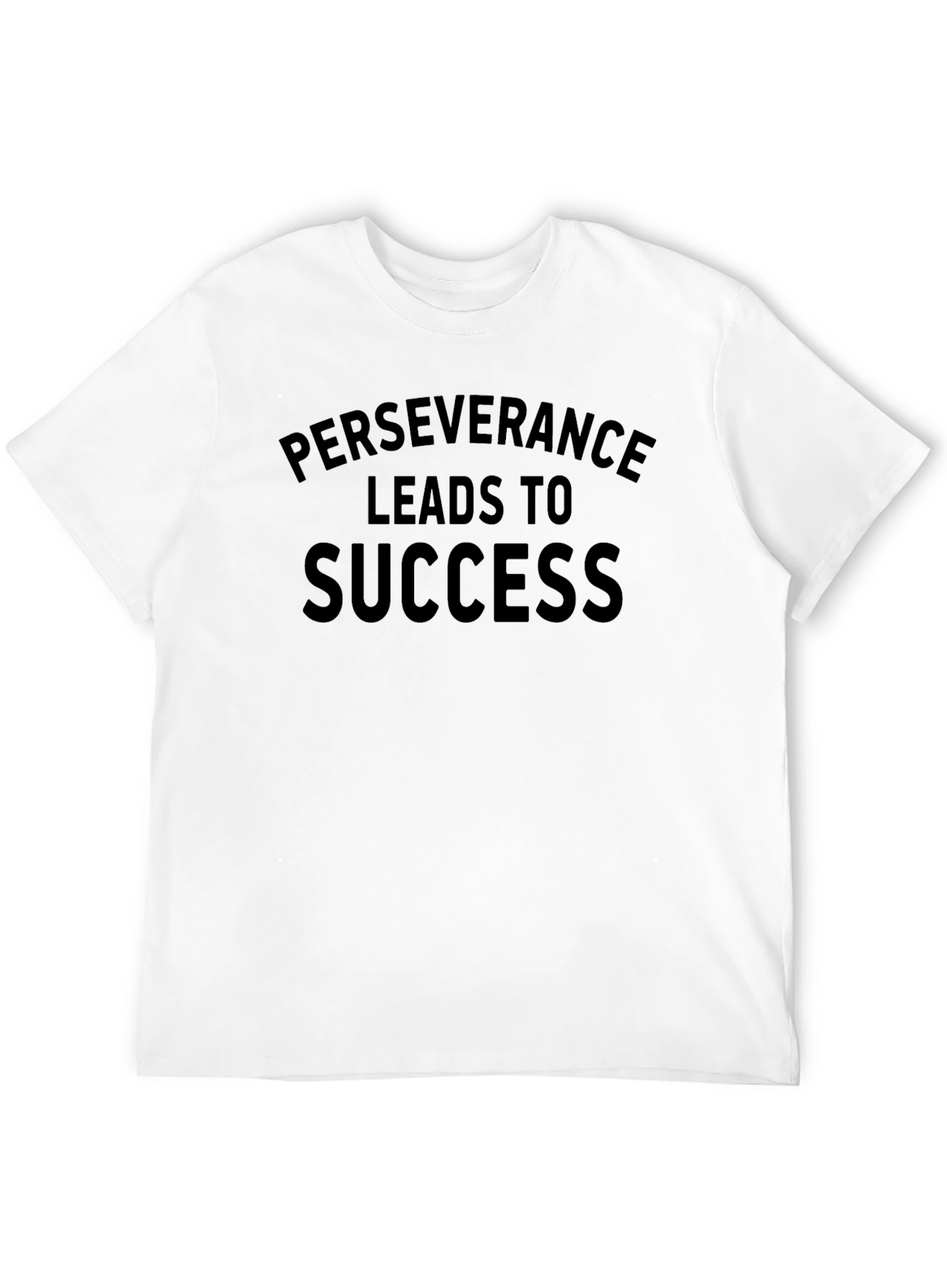 Perseverance Leads to Success T-Shirt