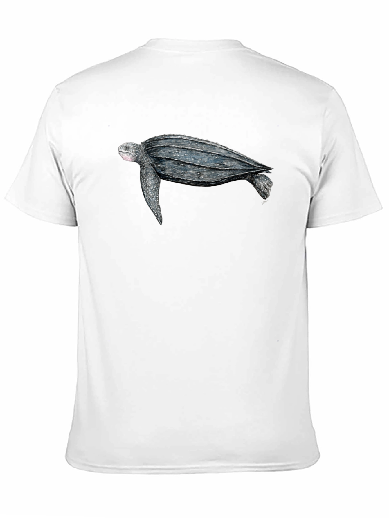 Sea Turtle Graphic Tee - Black Cotton T-Shirt
