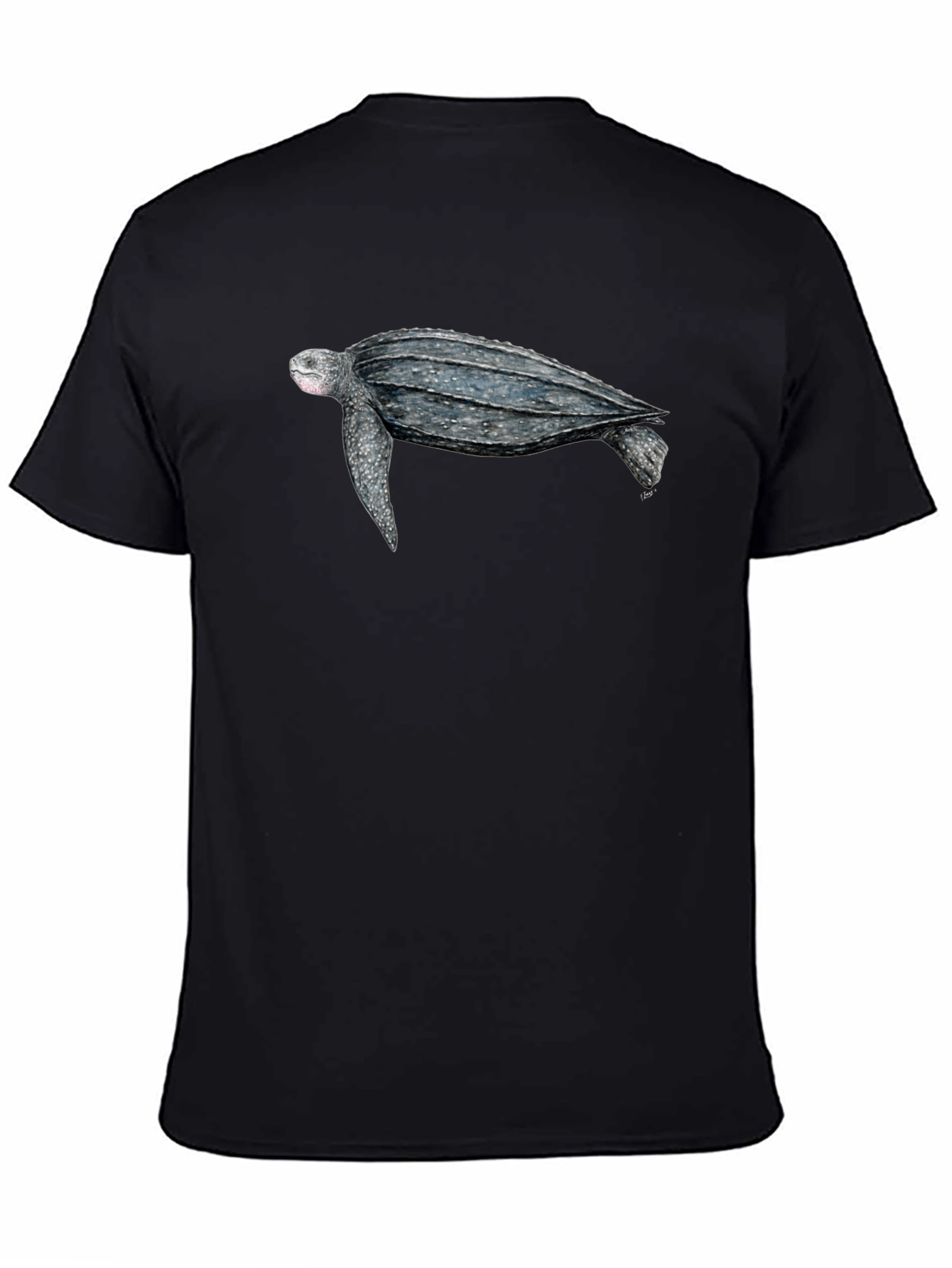 Sea Turtle Graphic Tee - Black Cotton T-Shirt