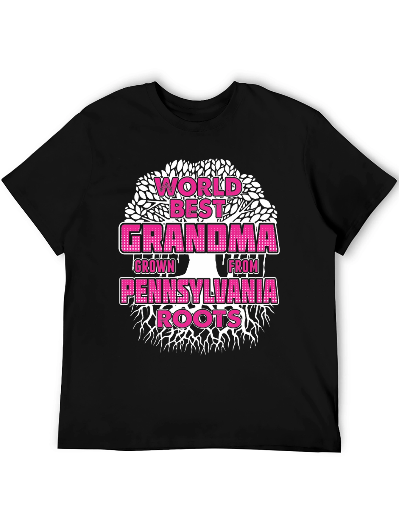 Worlds Best Grandma Pennsylvania Roots T-Shirt