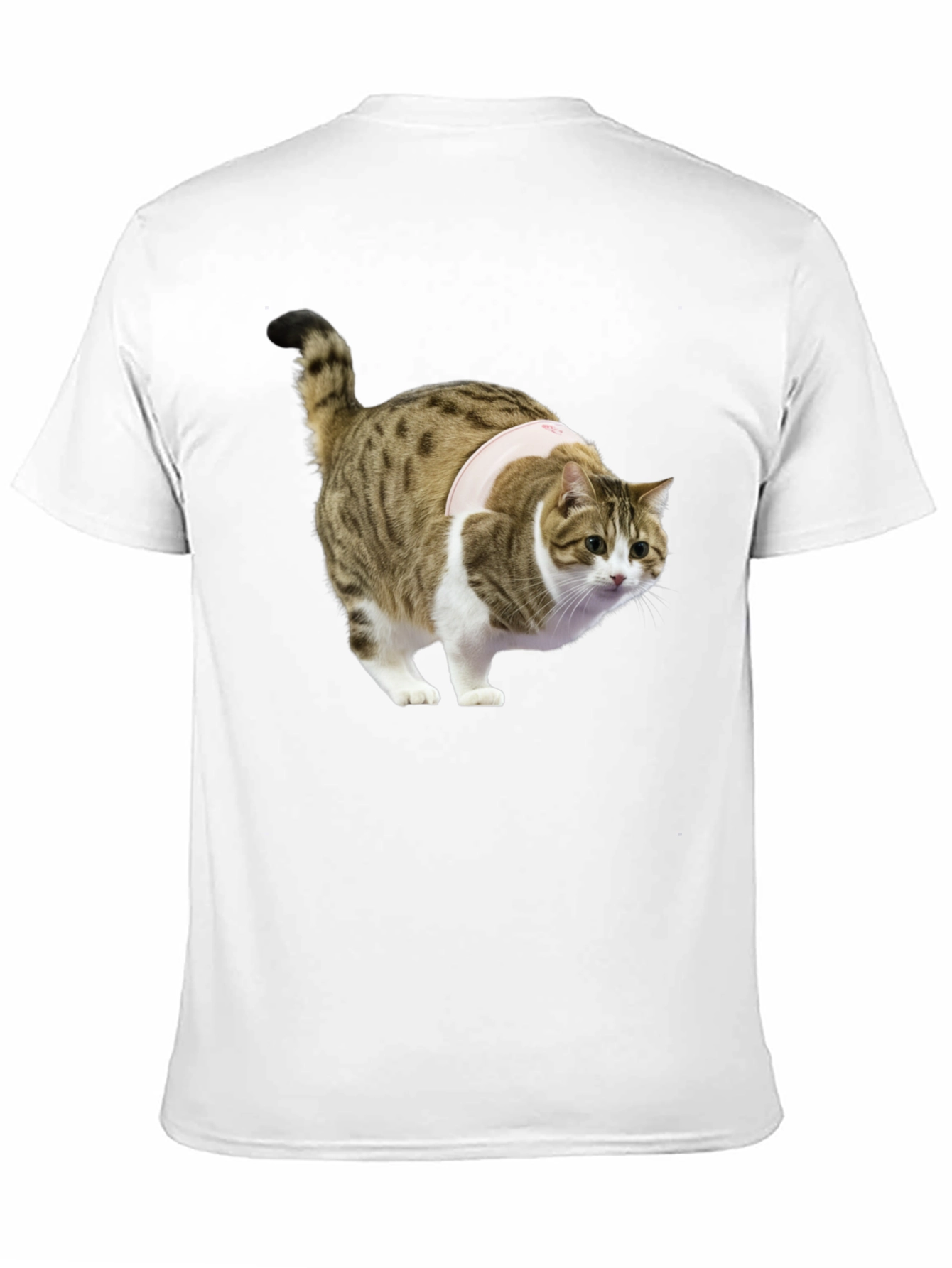 Funny Cat T-Shirt - Unique Graphic Tee