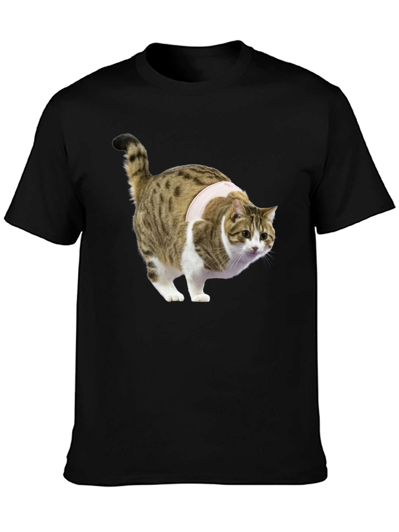 Funny Cat T-Shirt - Unique Graphic Tee