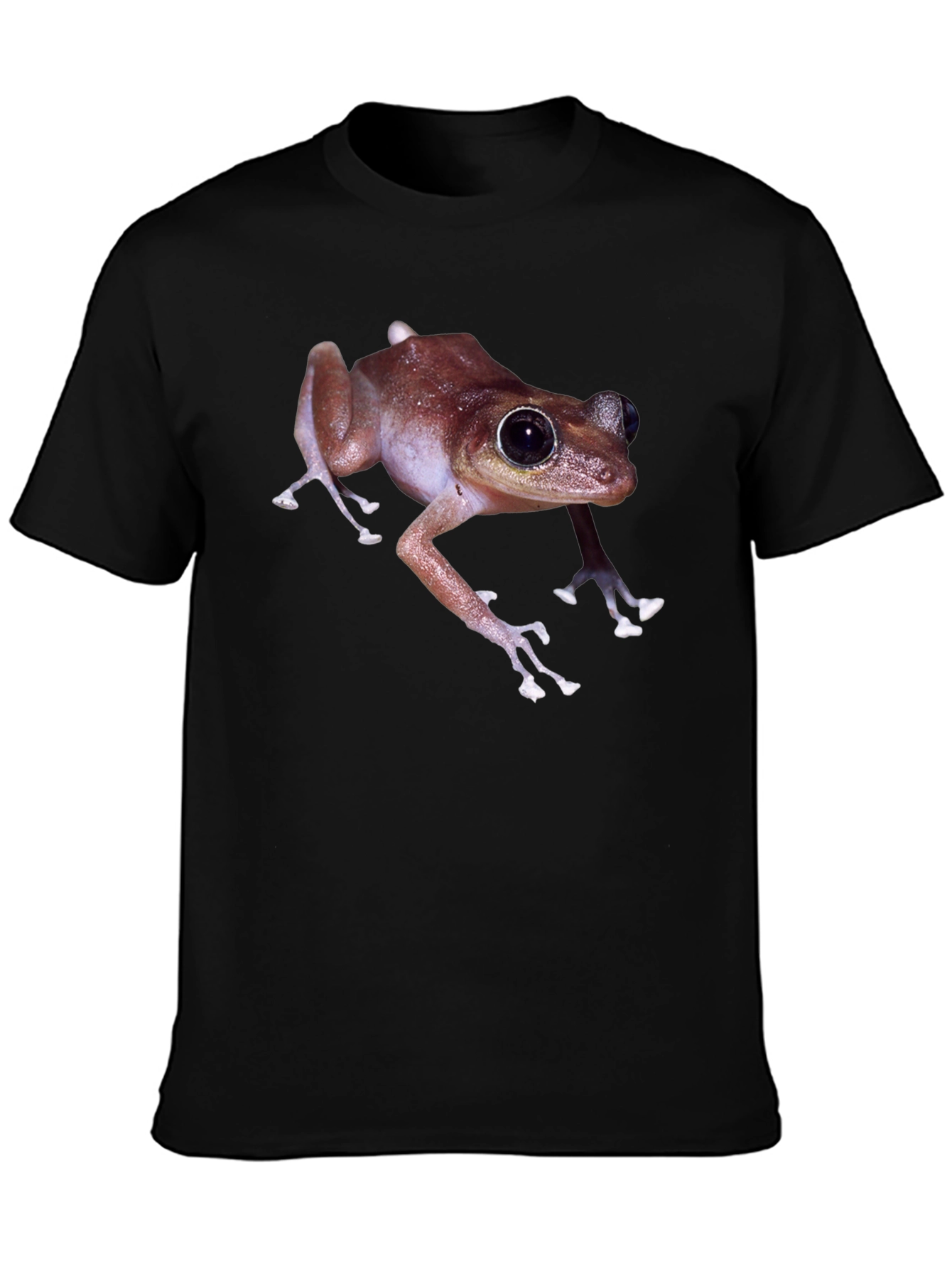 Frog T-Shirt - Black Graphic Tee