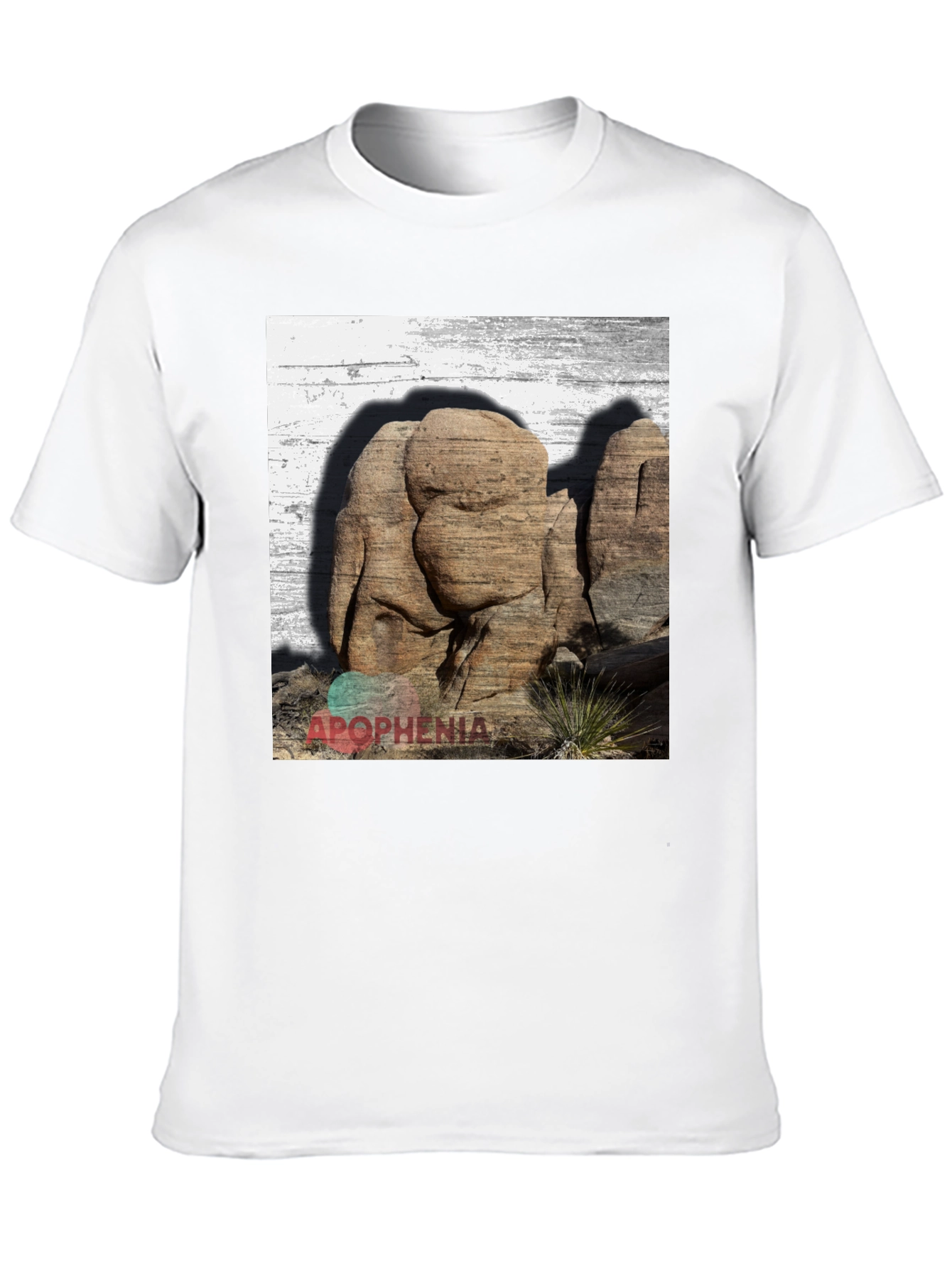 Apophenia Desert Rocks Graphic Tee - Black