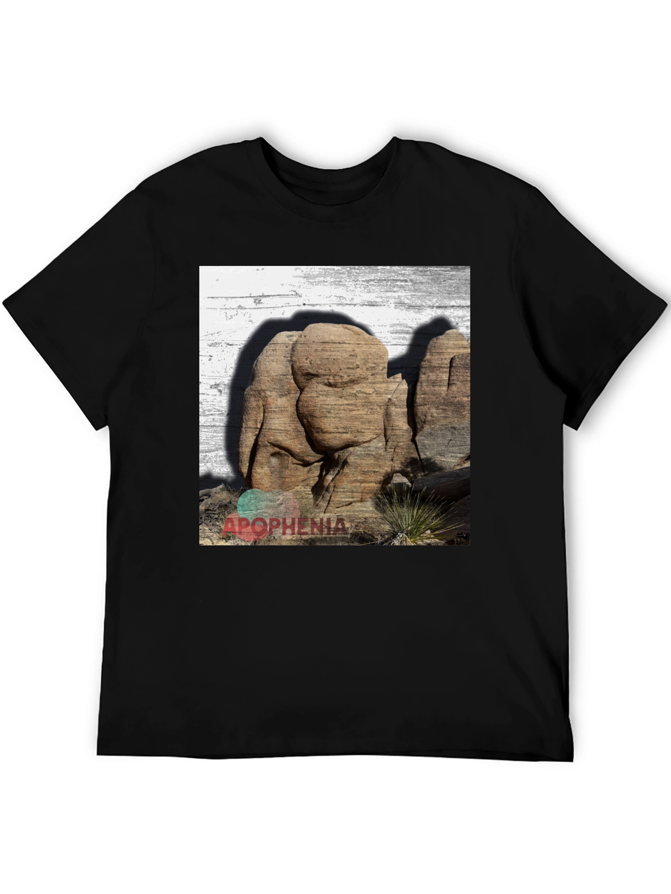 Apophenia Desert Rocks Graphic Tee - Black