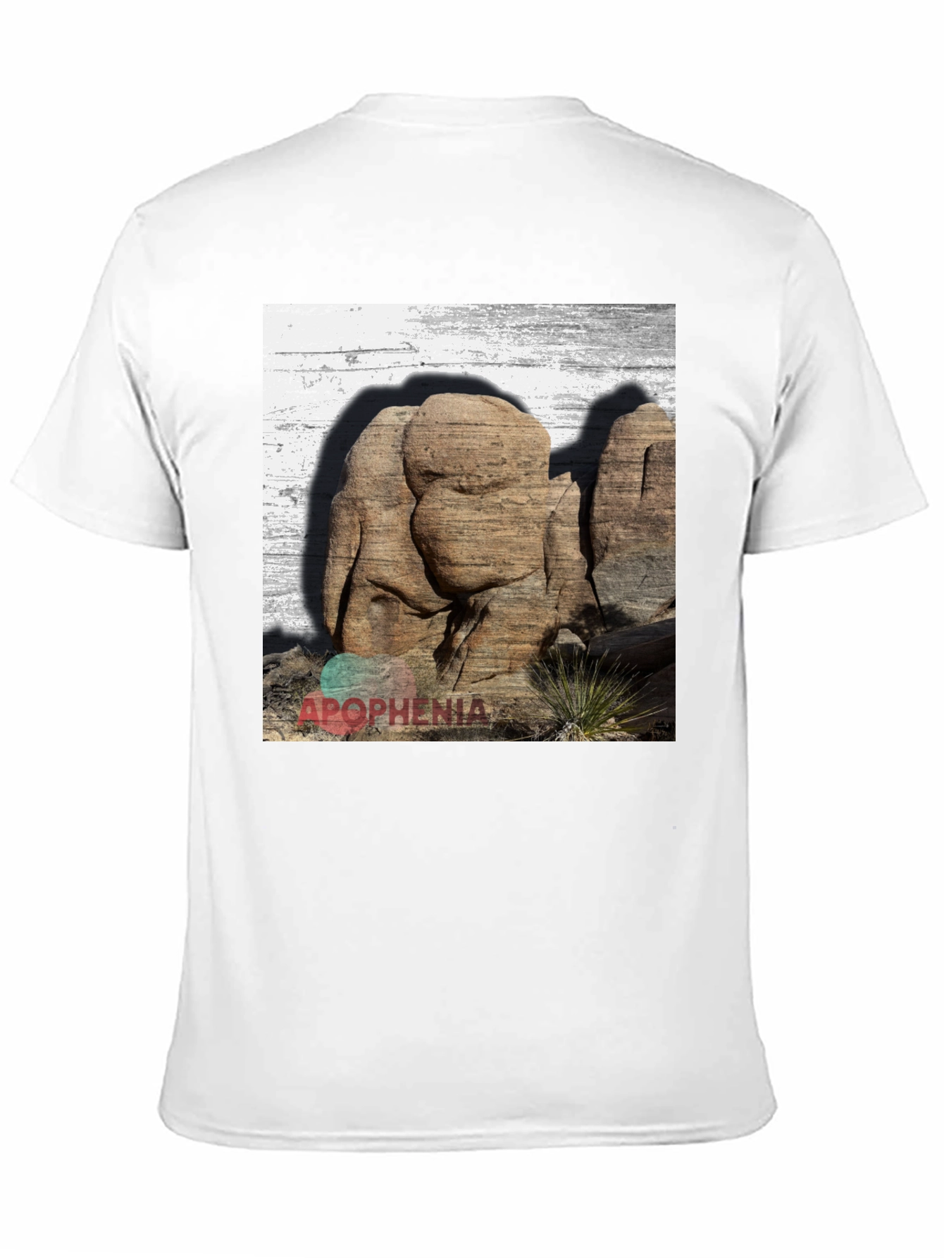 Apophenia Desert Rocks Graphic Tee - Black